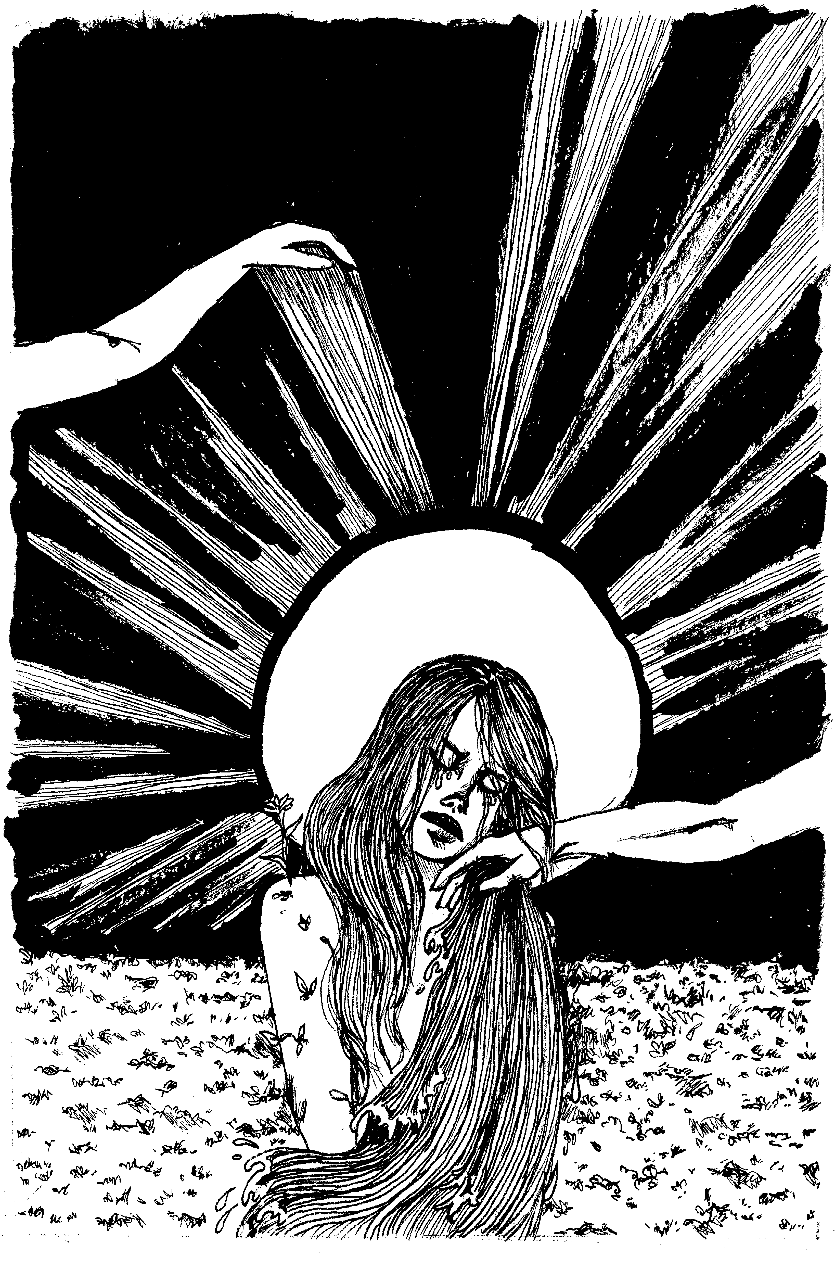 Pen & Ink Collection