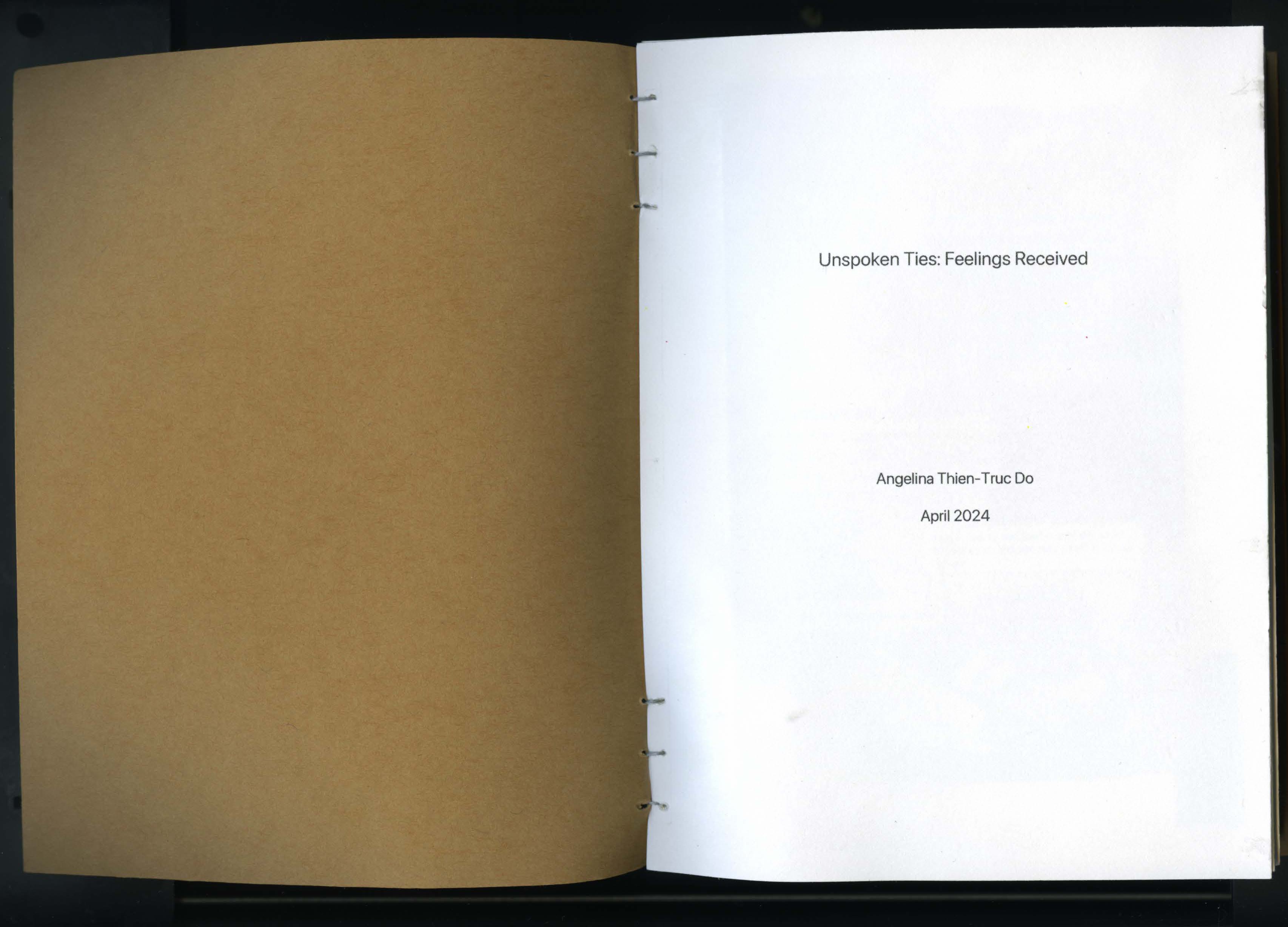 Unspoken Ties: Feelings Receieved