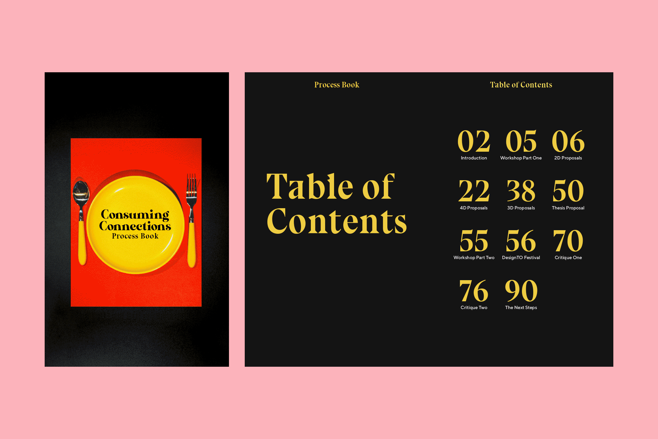 Consuming Connections Process Book