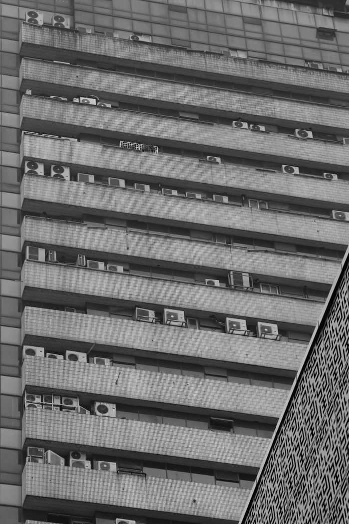 Live in Steel Forest