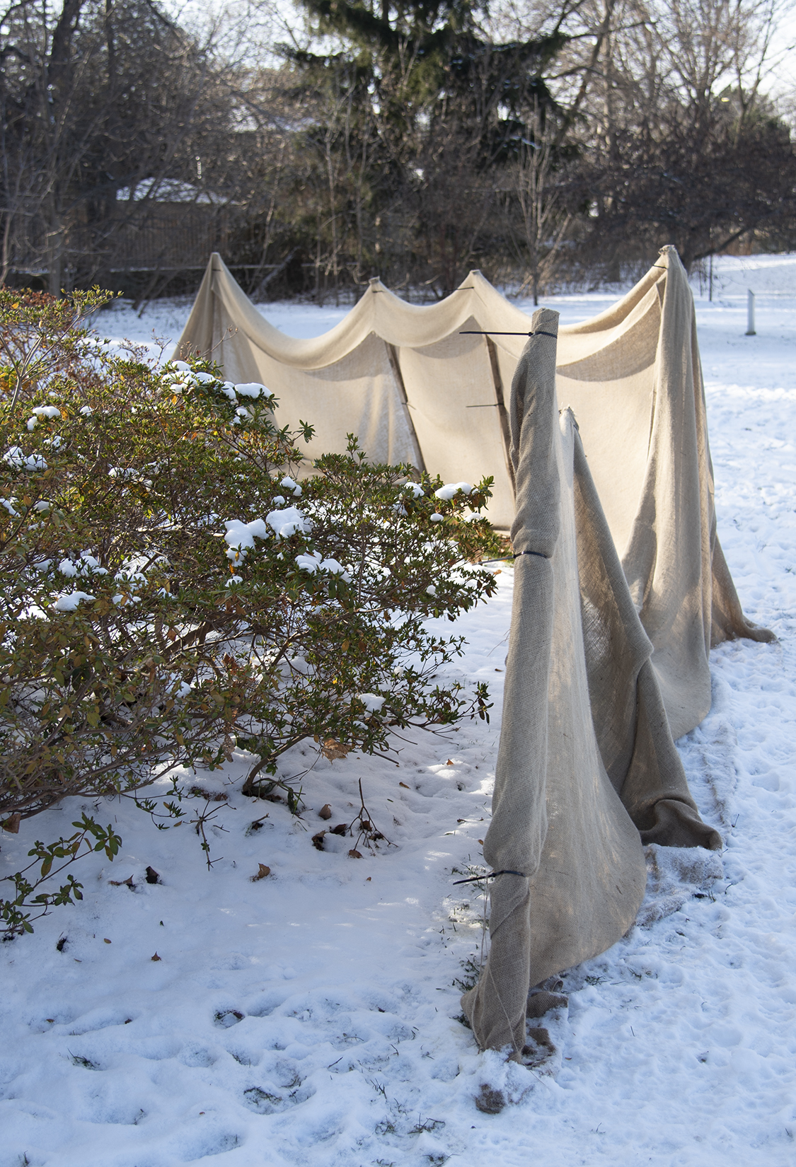 Where We Used to Walk