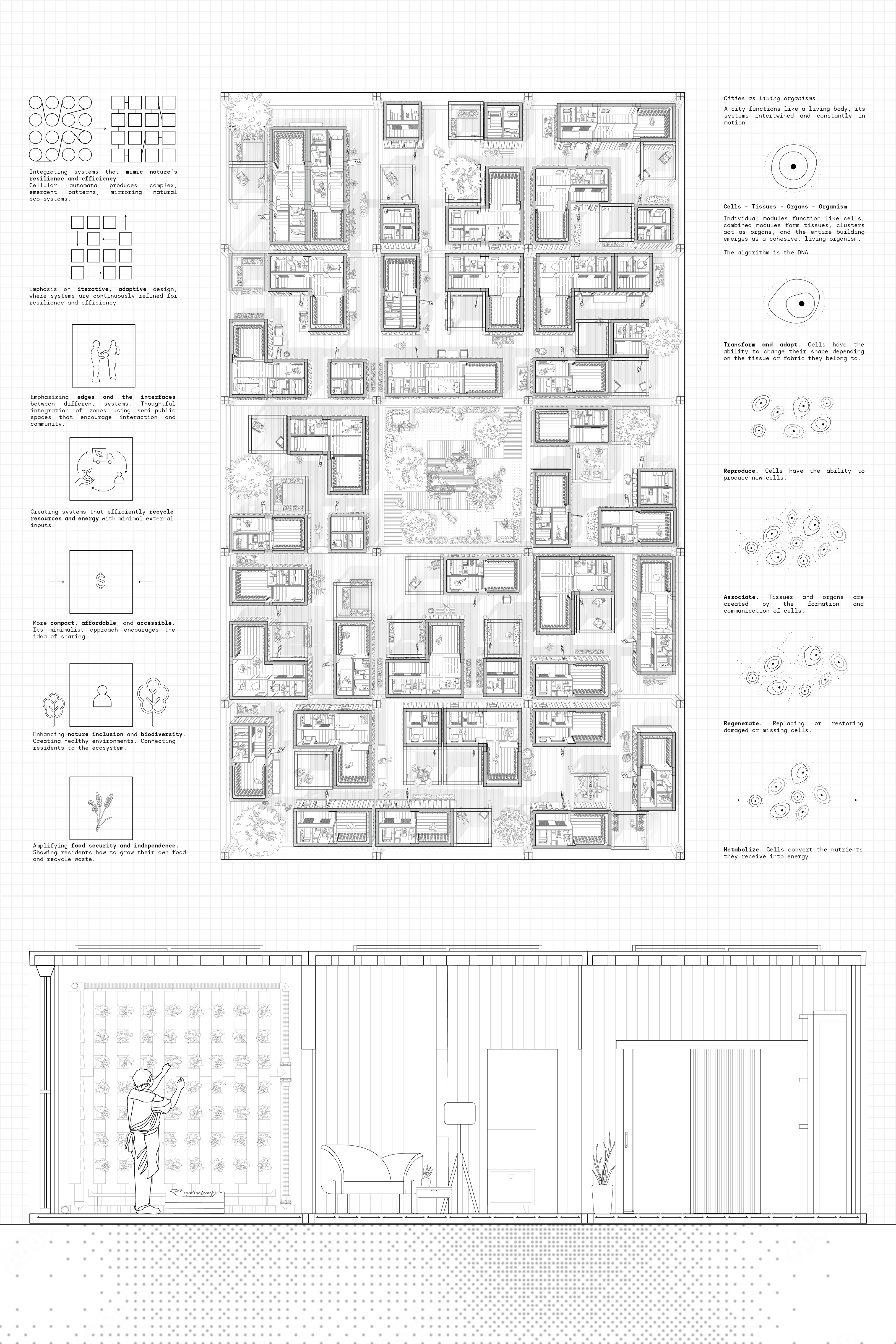 The City as an Organism