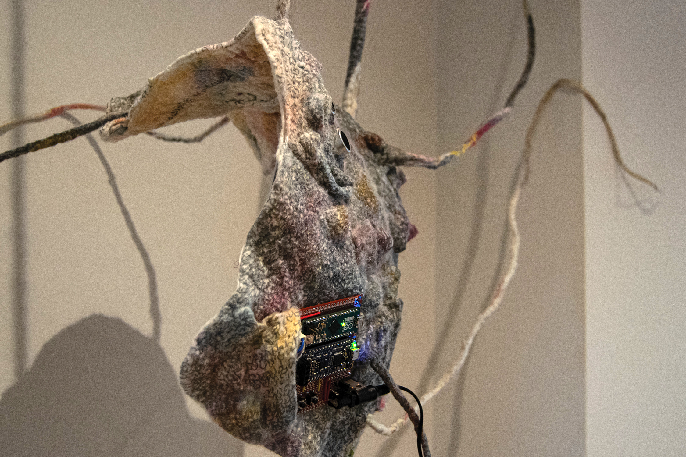 Failed Solitude / Signal or Noise?