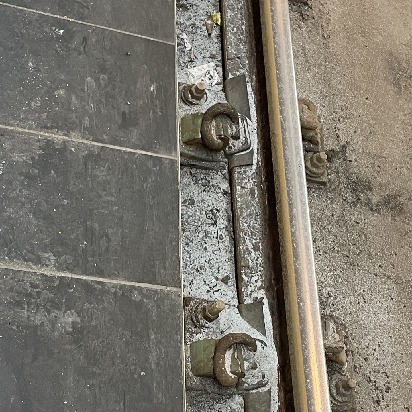 Shanwei’s Journal: A Flâneur in Toronto <3>