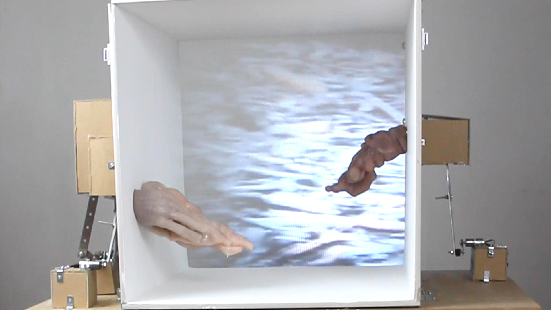 Documentation Images from "Any Part Can Be a Genesis" Installation & Art Objects