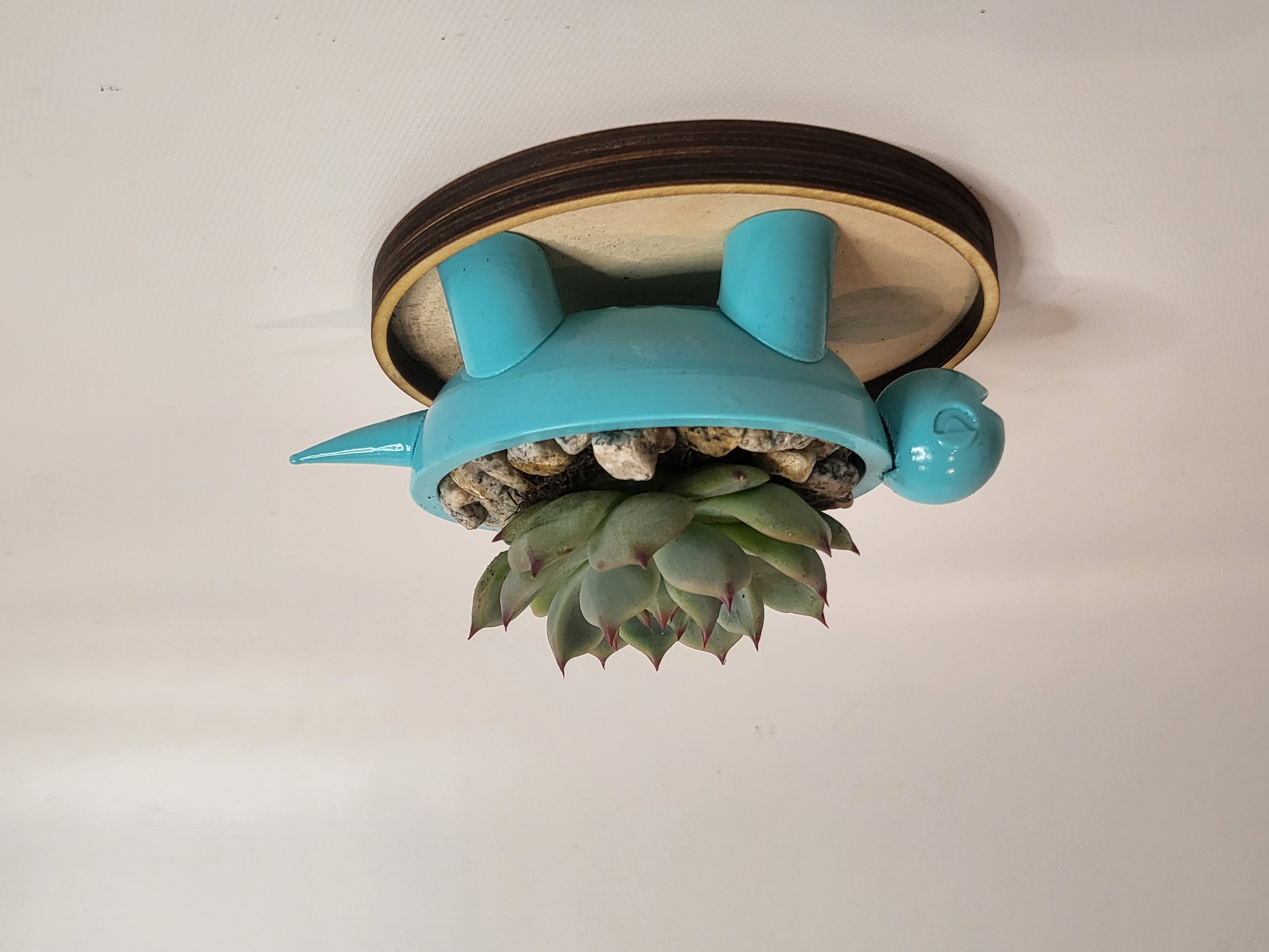 Terra Succulent Planter