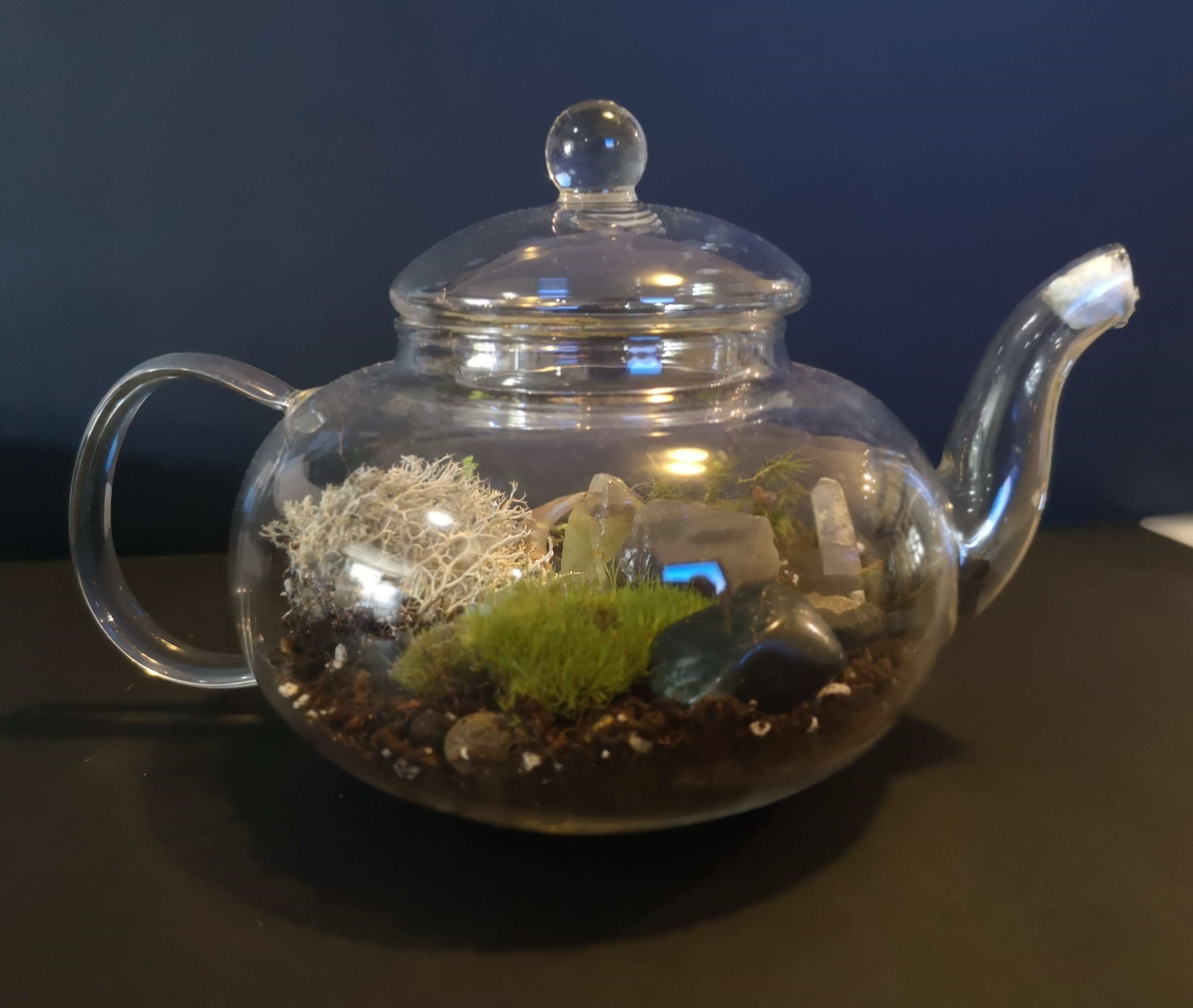 Tea Time Terrarium