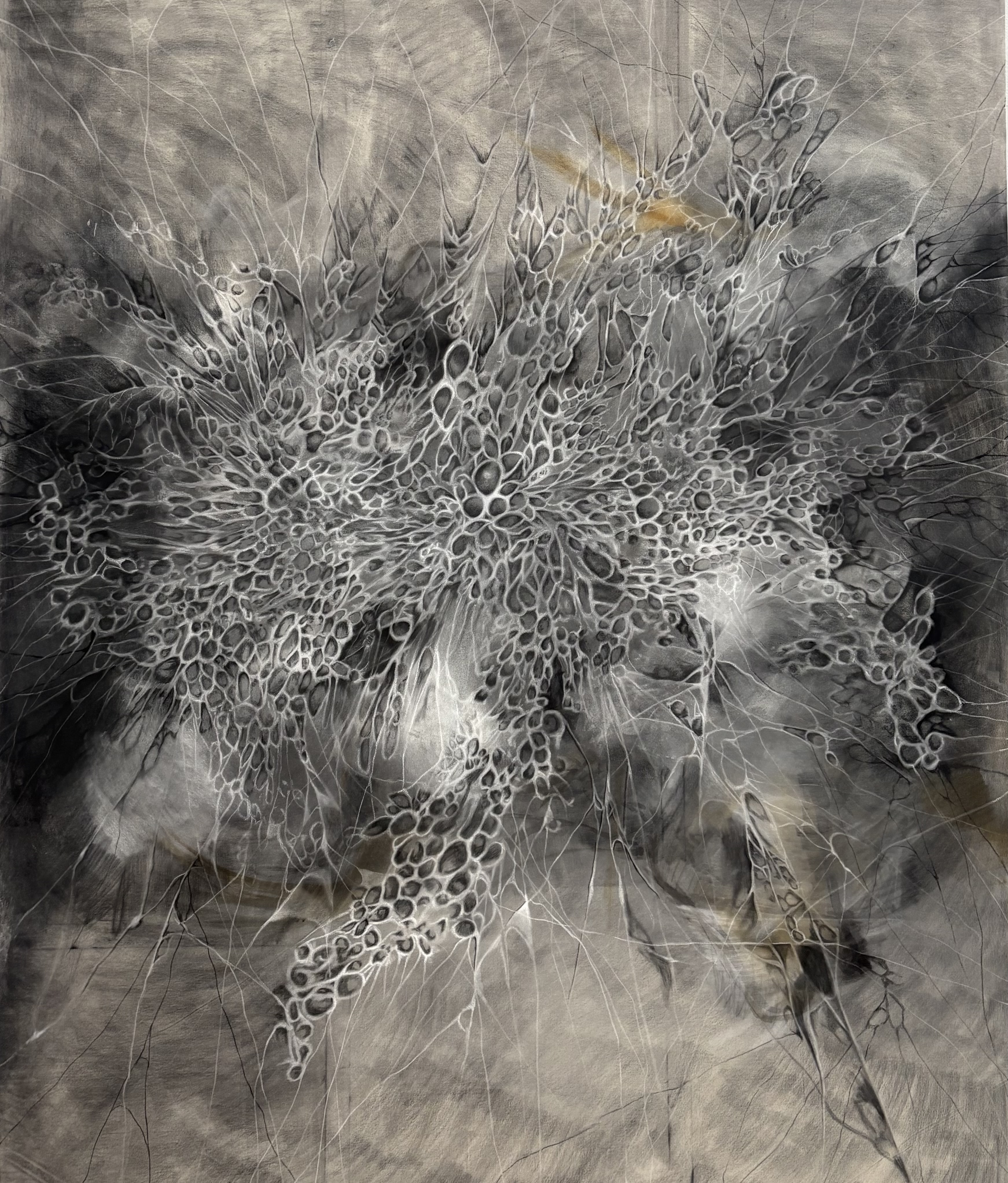 Fragmented Rumination – Revelation Through Loss