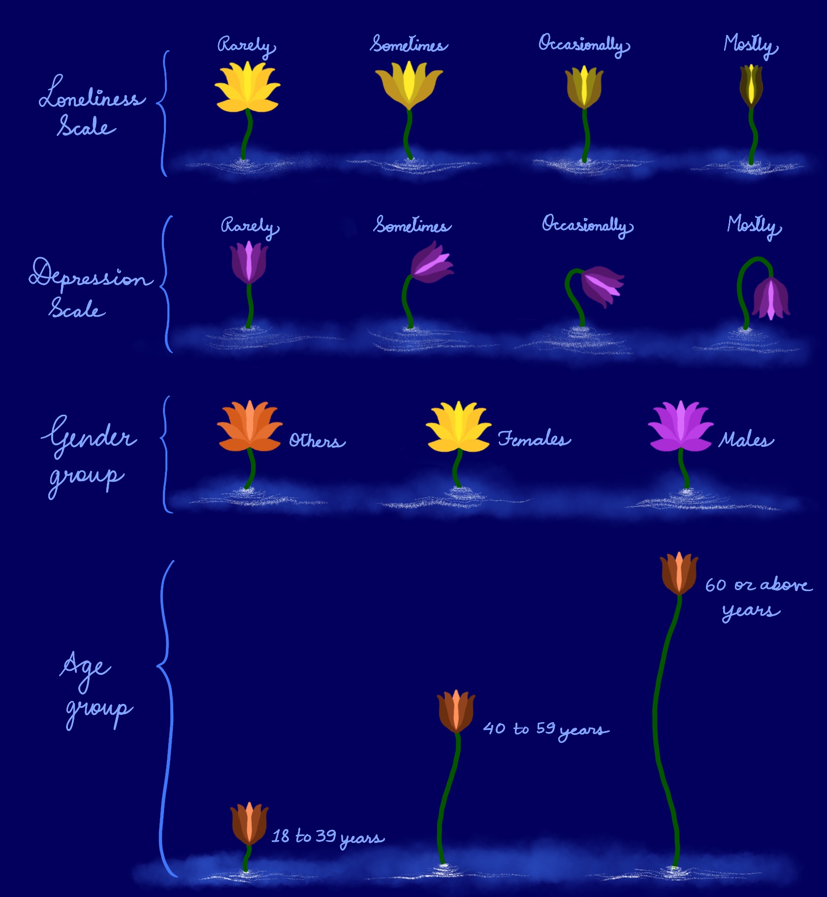Visual Encoding fo the Data Visualizations