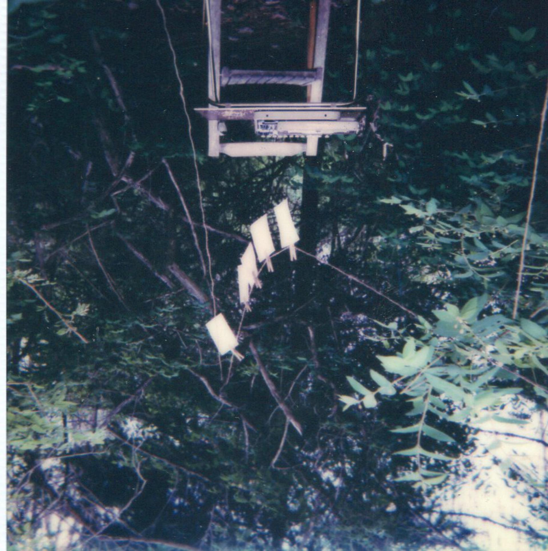 Laundry Day/The Space Between