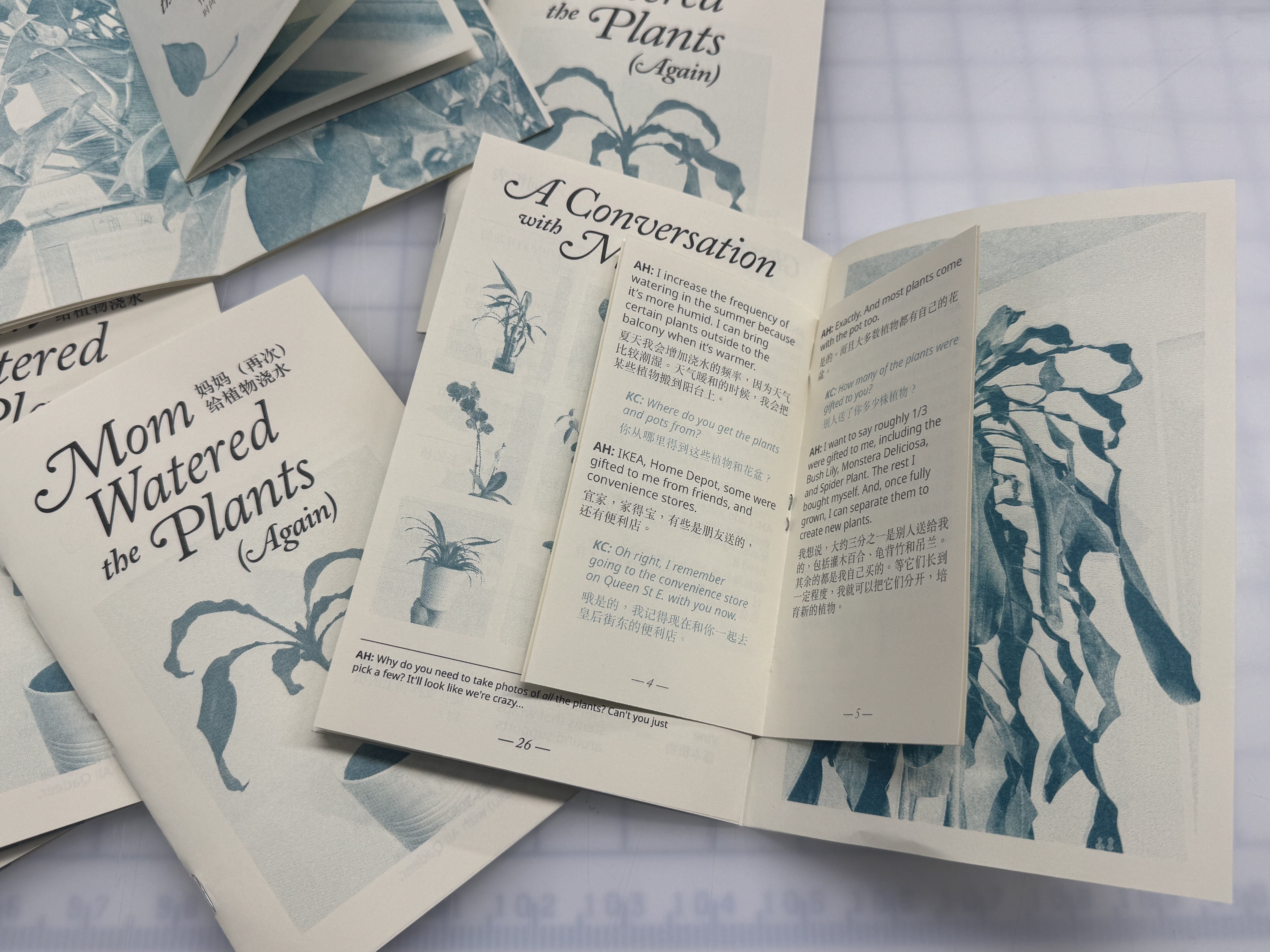 Mom Watered the Plants (Again)