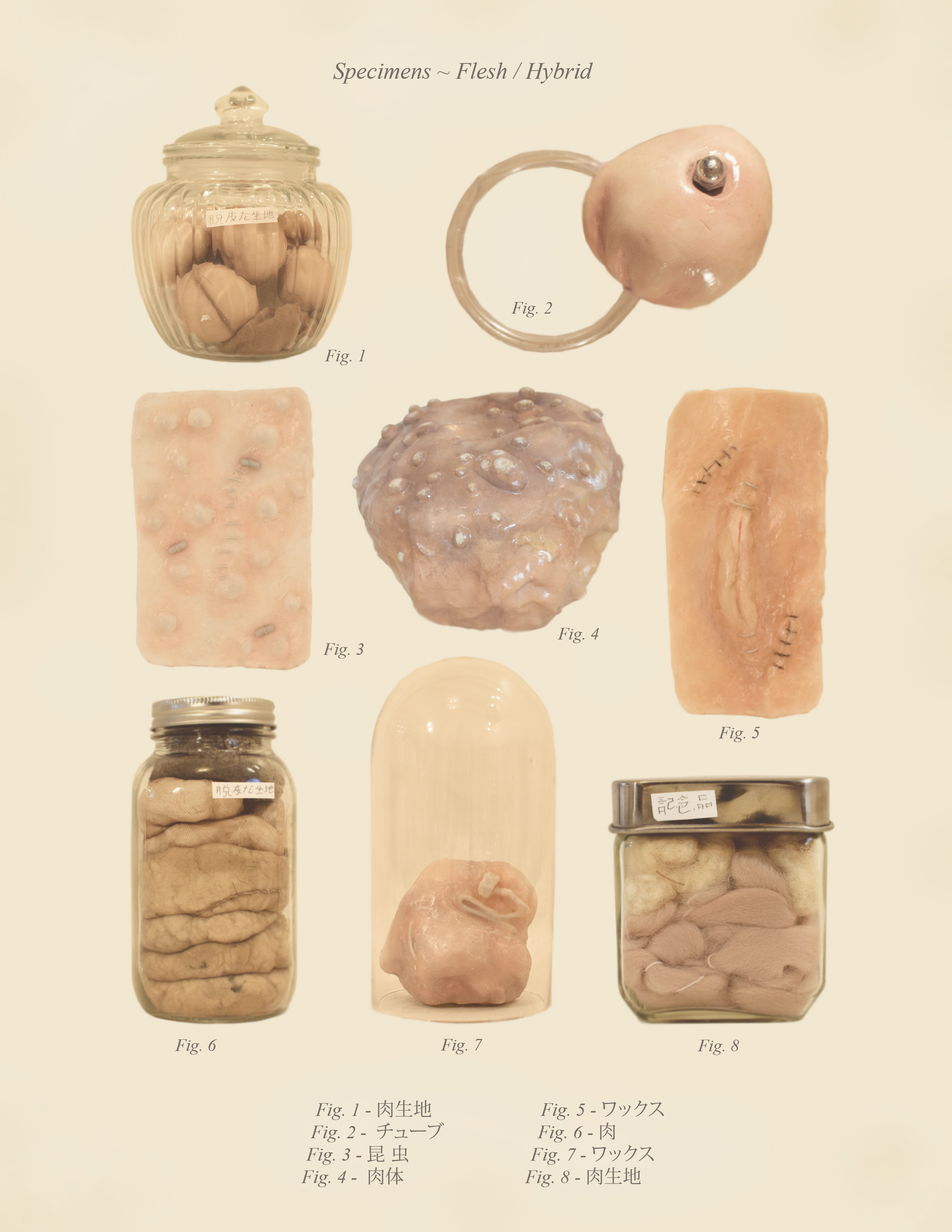 Specimens ~ Flesh / Hybrid