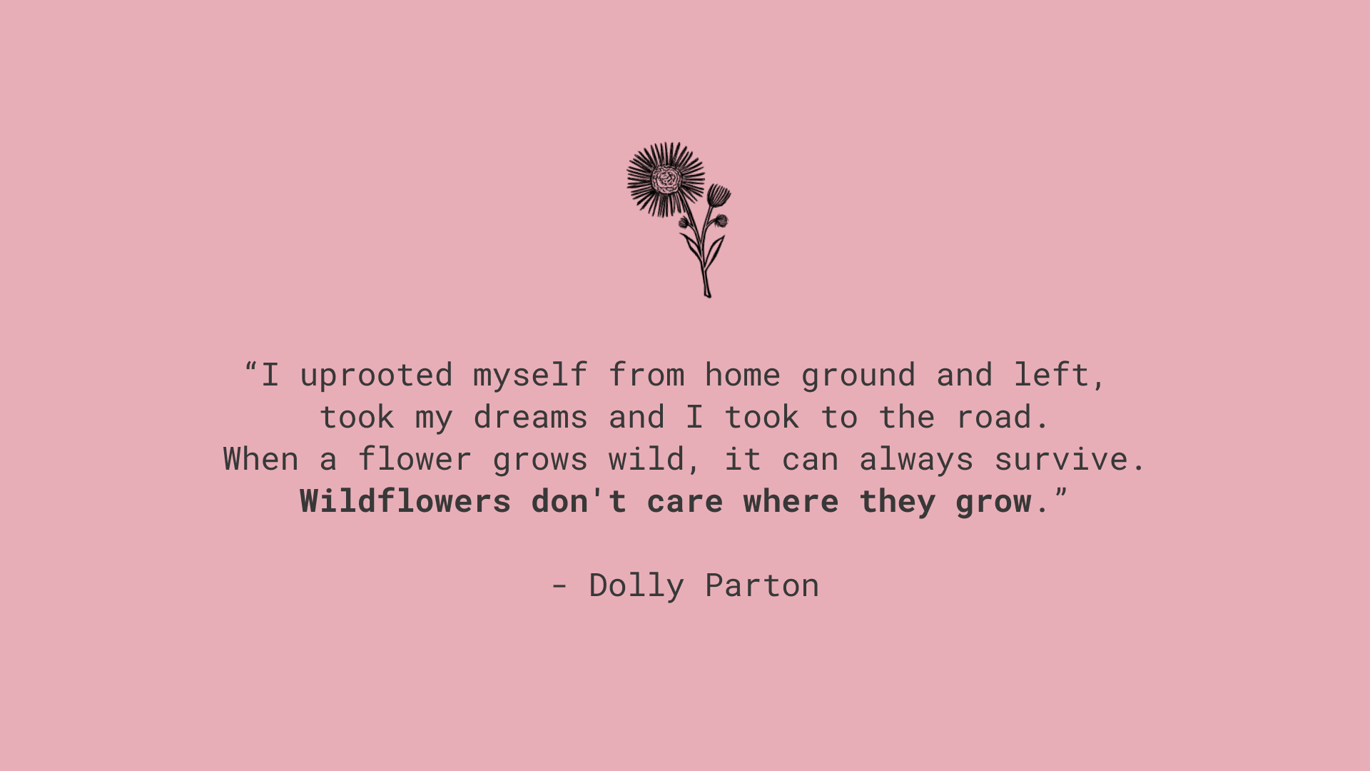 Everbloom Music Festival | Art Direction