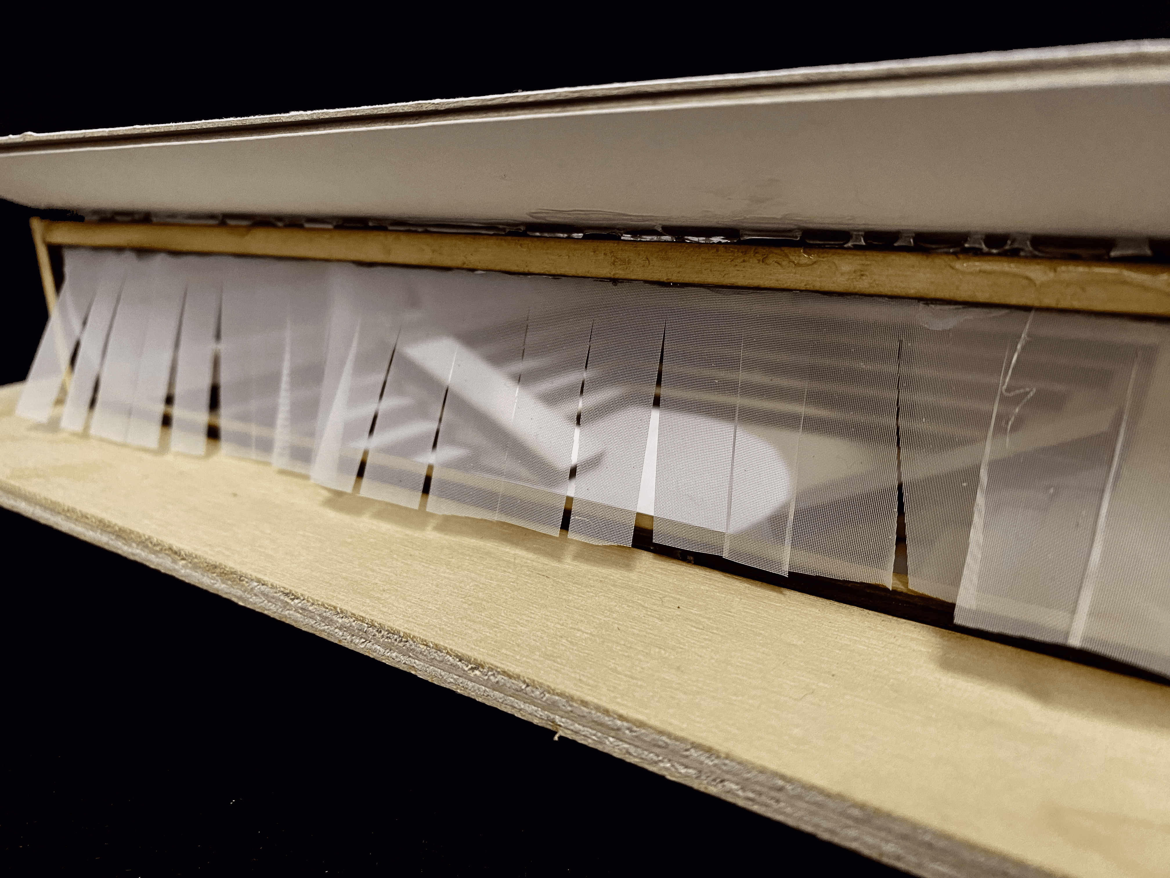 "DENG LONG" ON THE WATERFRONT