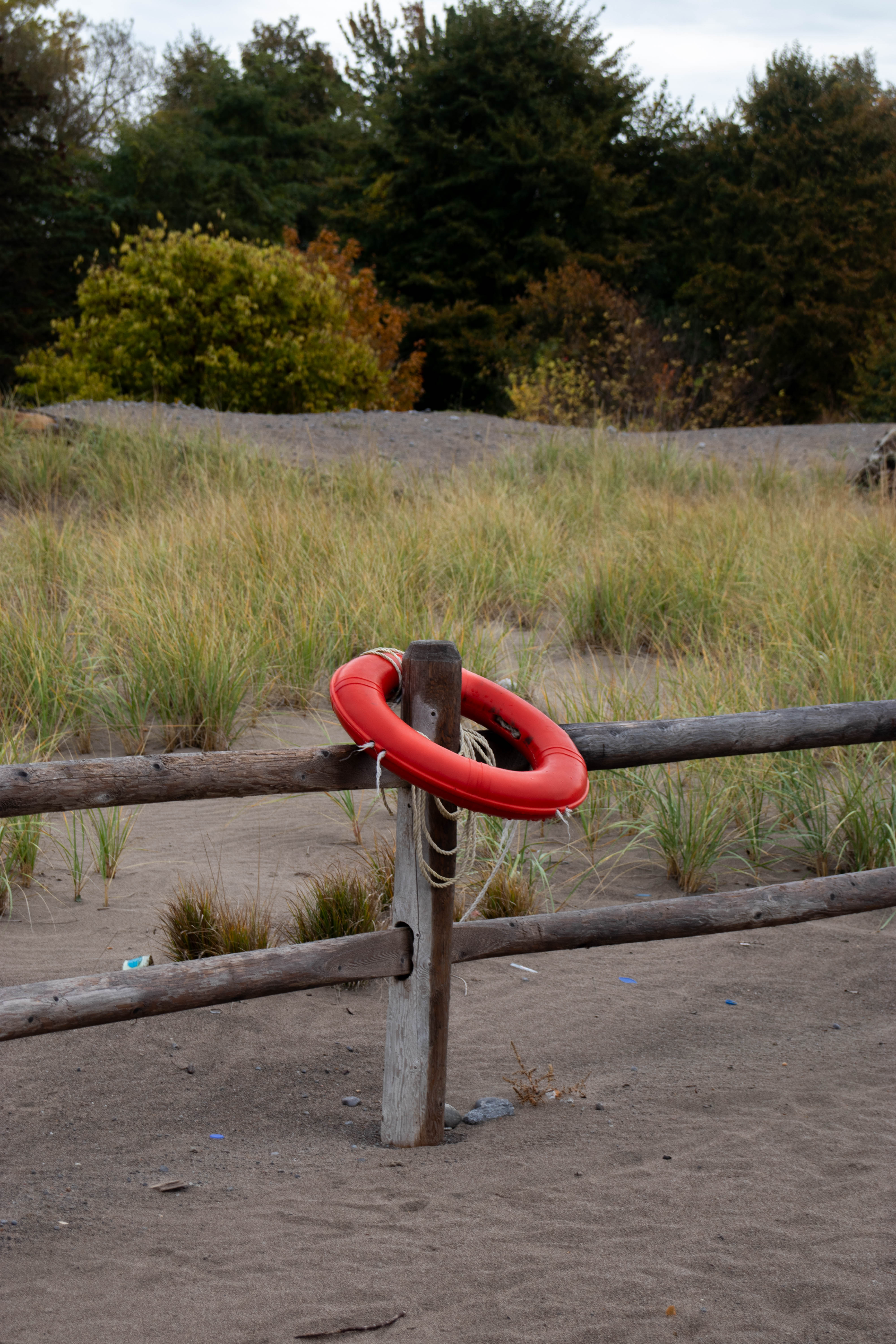 Toronto Island