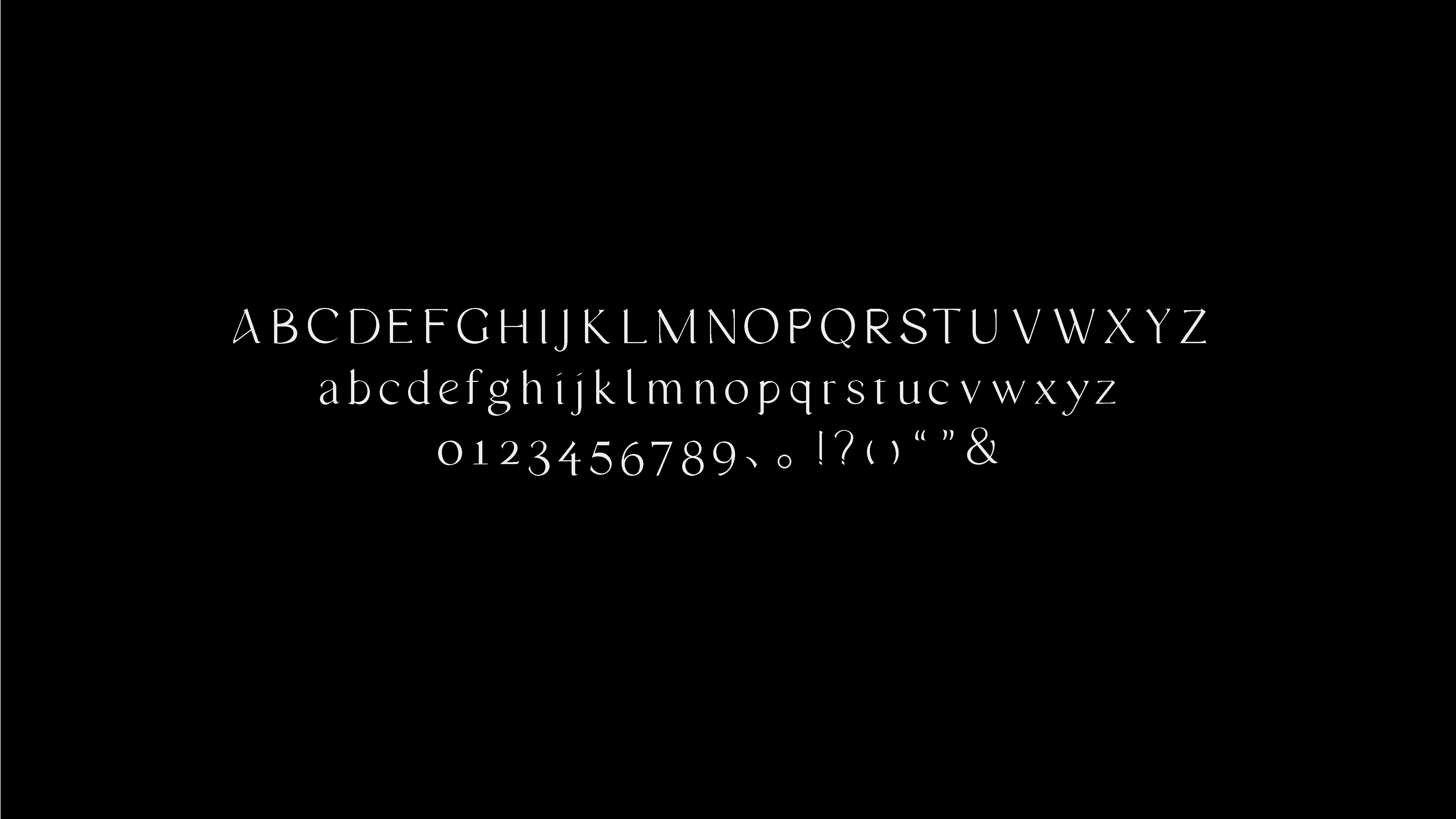 PL Y/彳亍 font