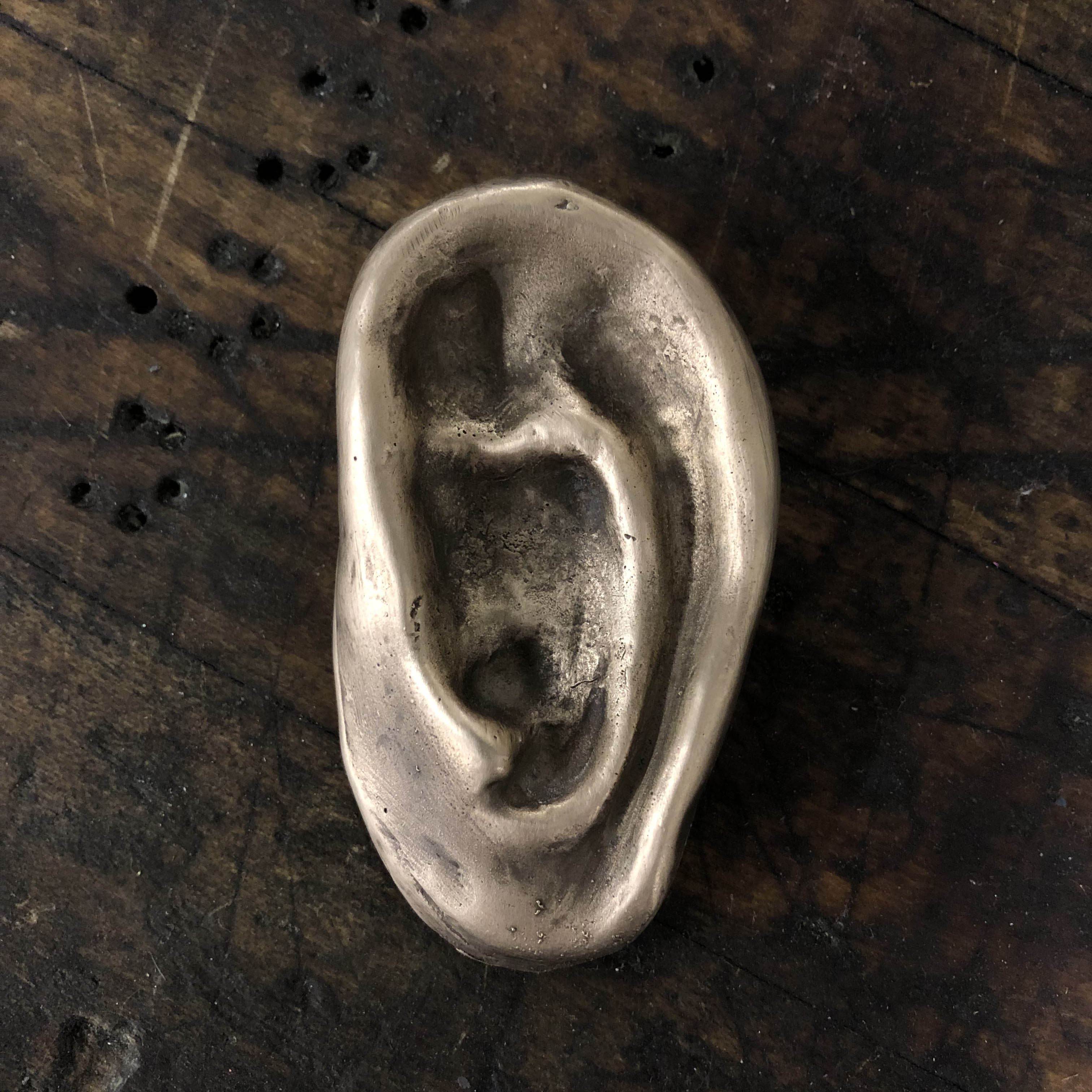 Bronze Ear