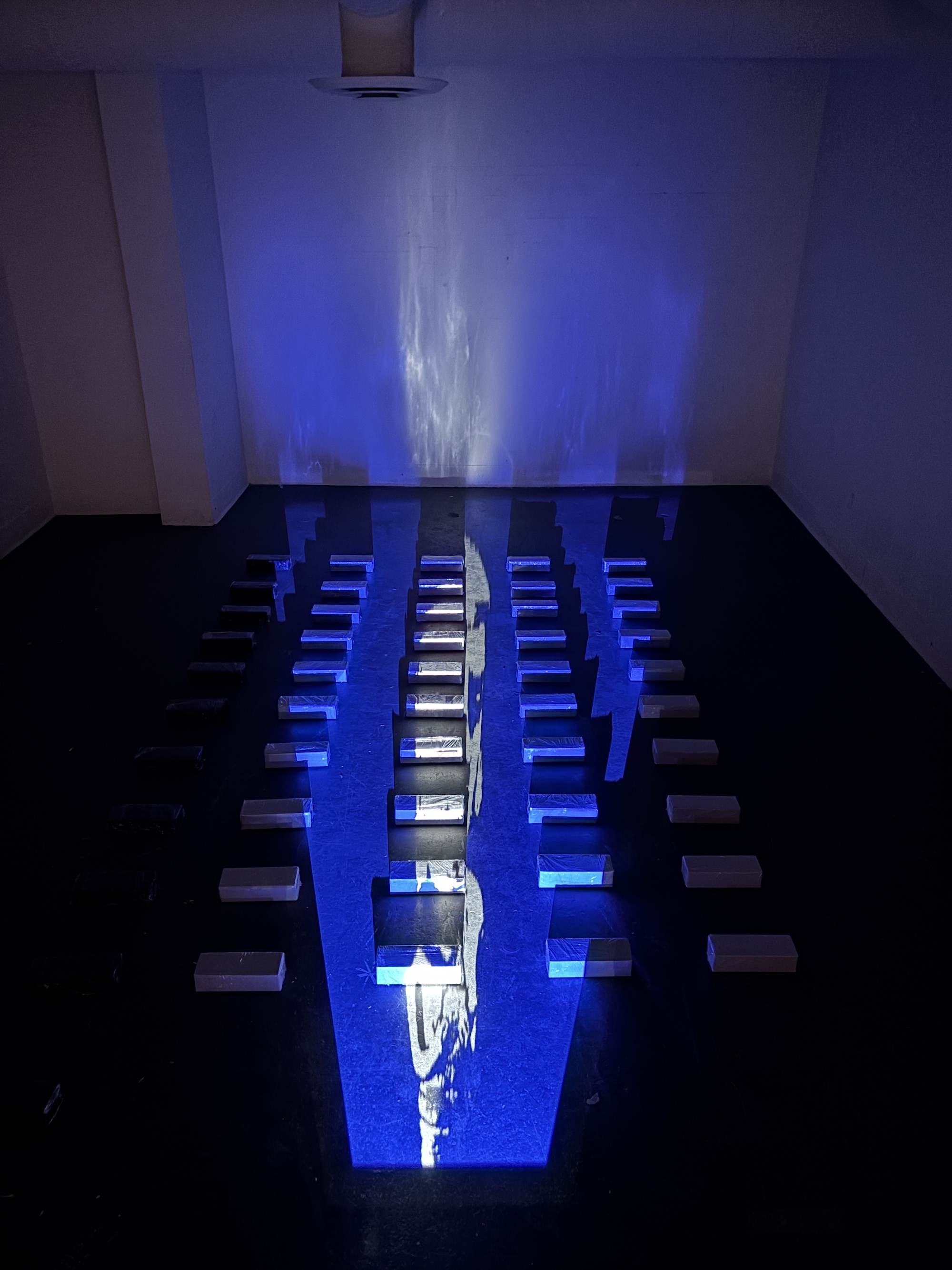 Yellow, Blue and Red: Identity and Stigma, a Collective Identity in Crisis