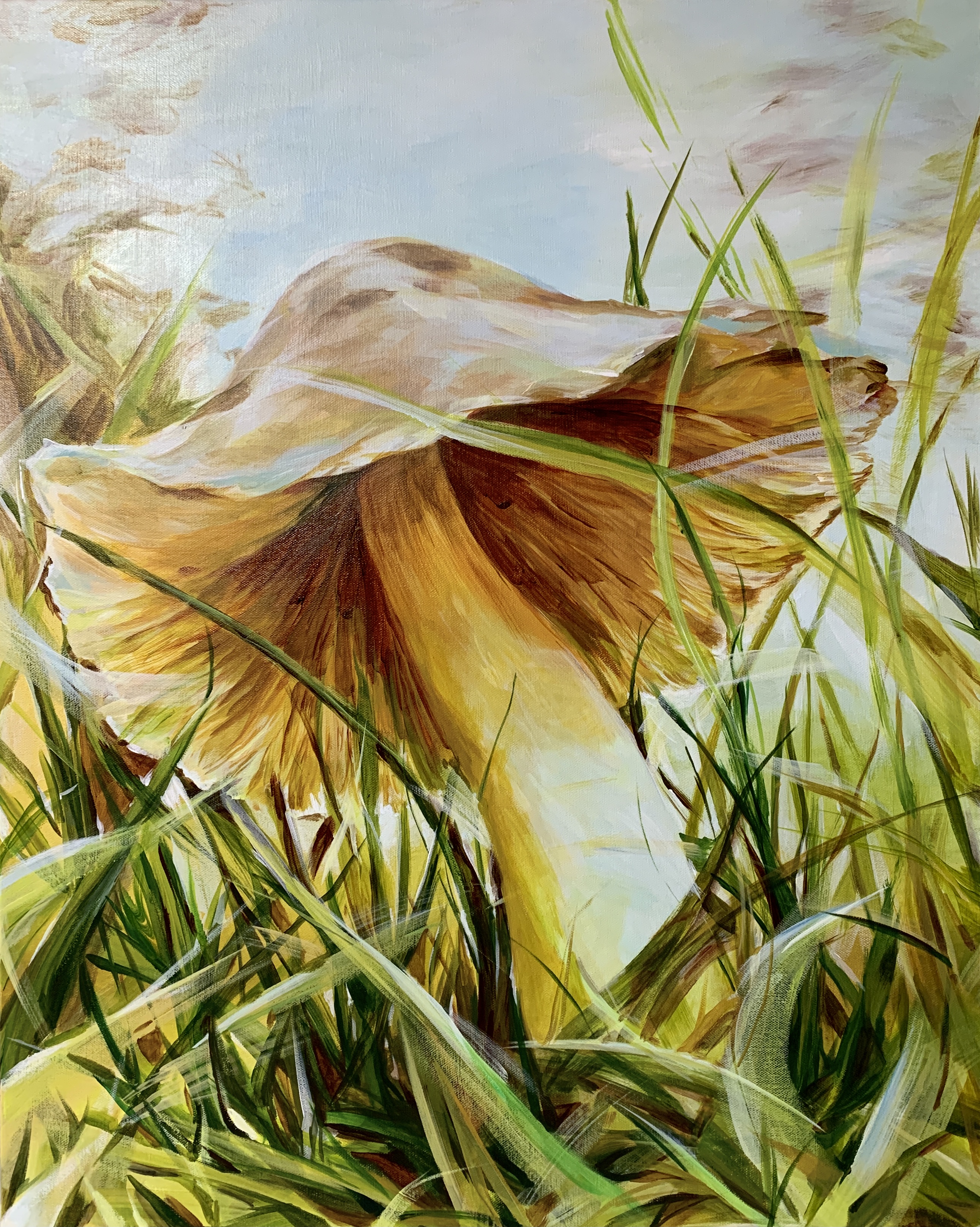 Nature's Gestures - Mushrooms Series