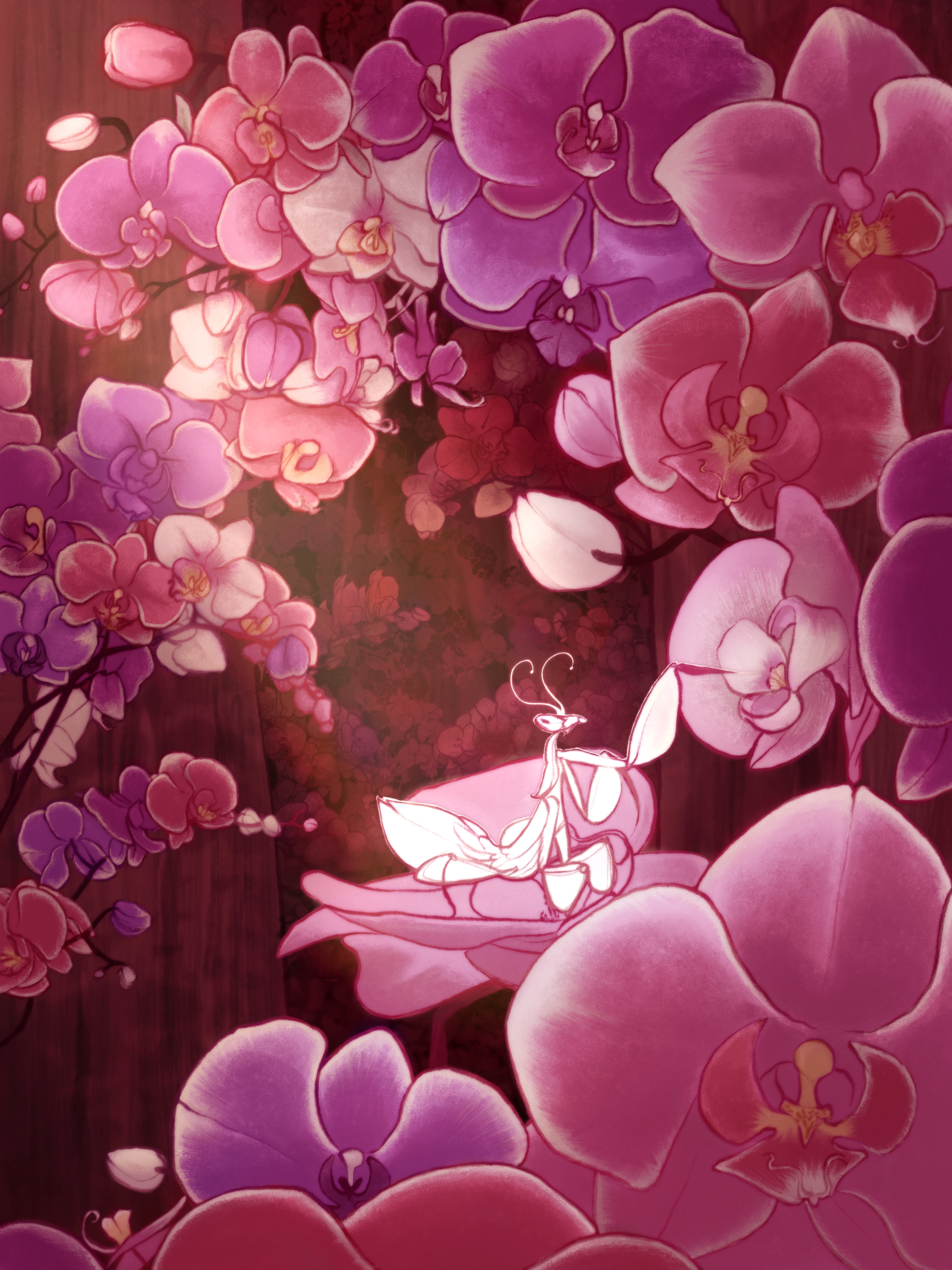 Between the Orchids