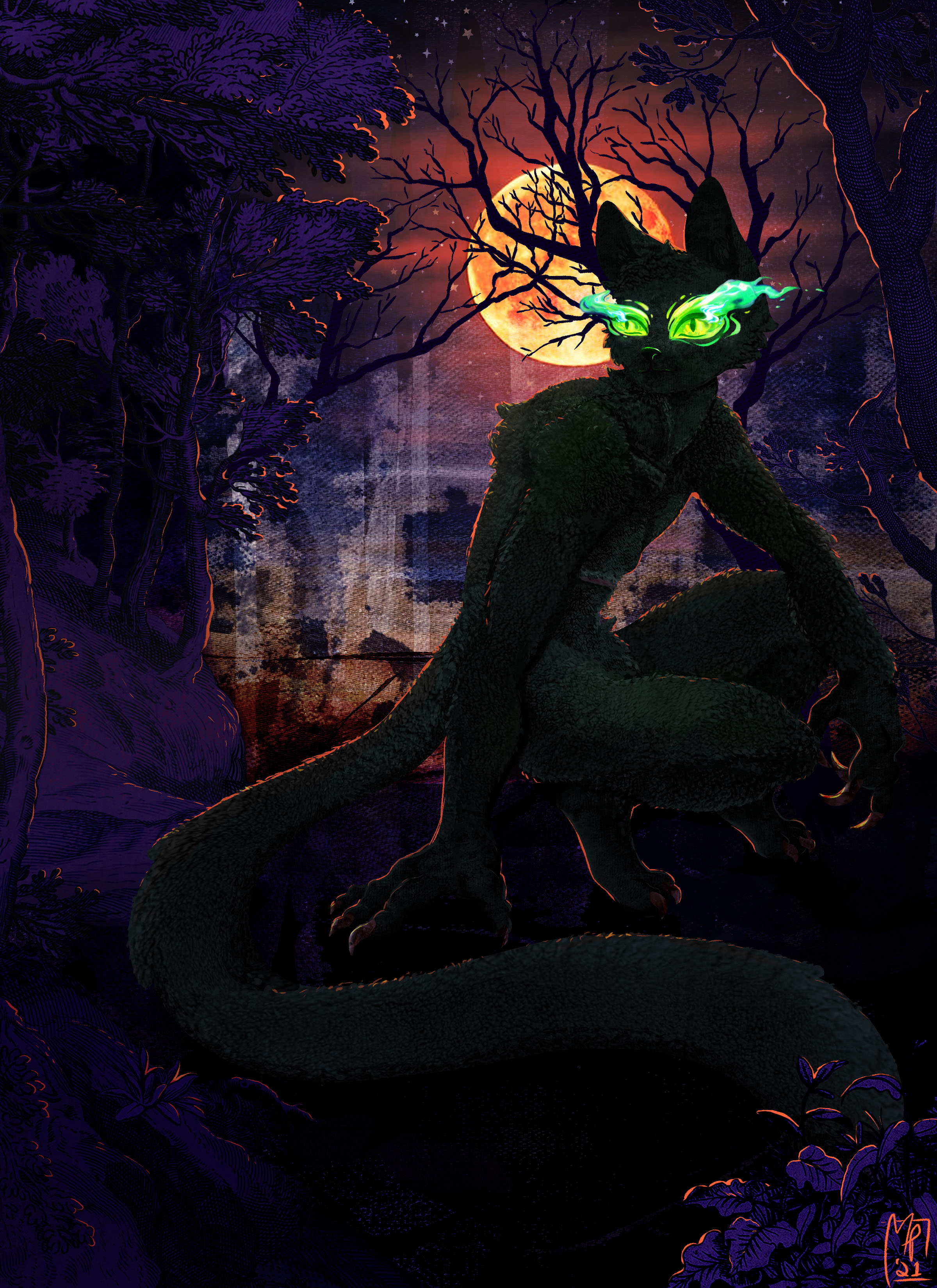 Sal (they/them, he/him, it/its)