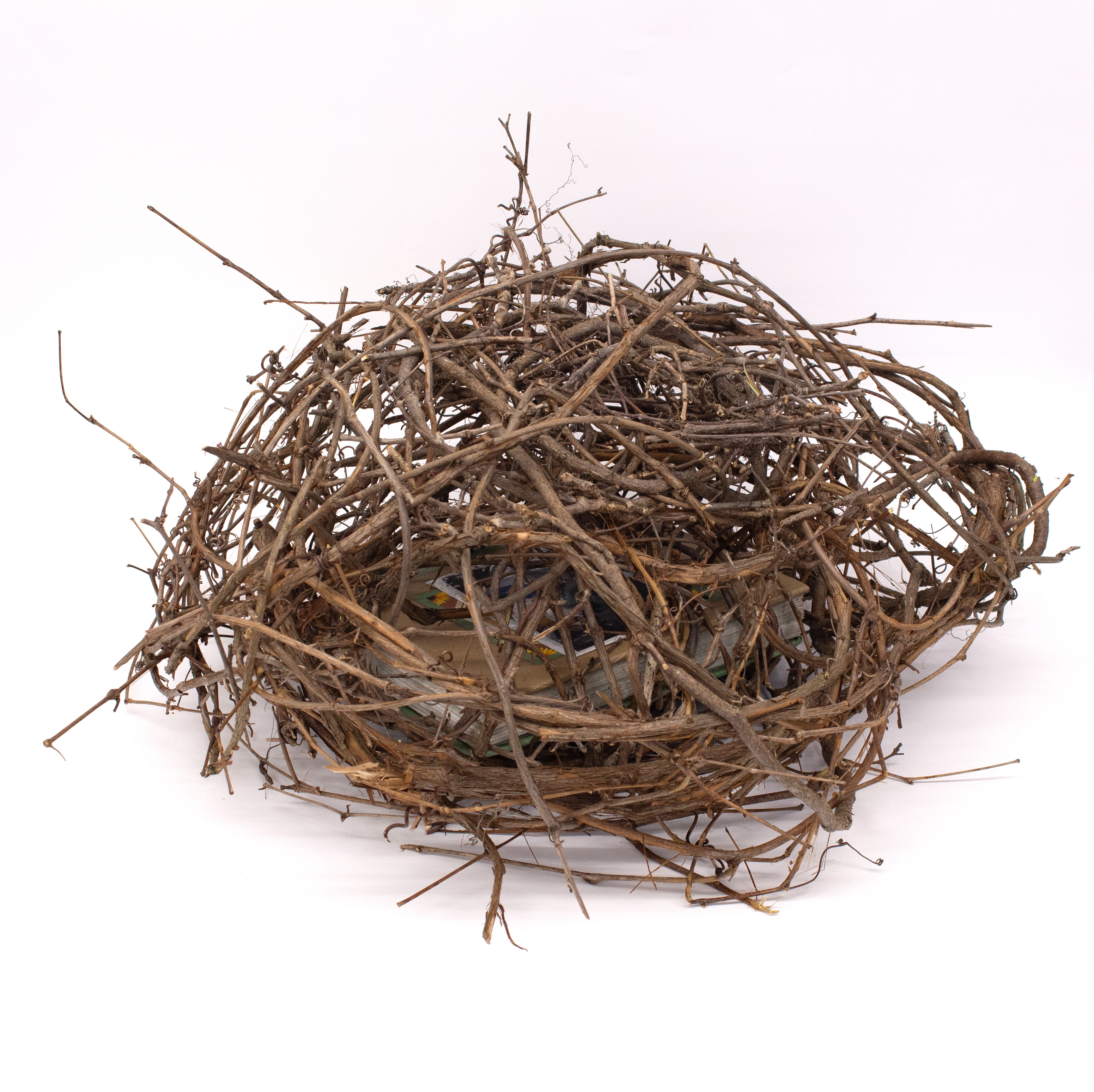 The Twins (mummified)