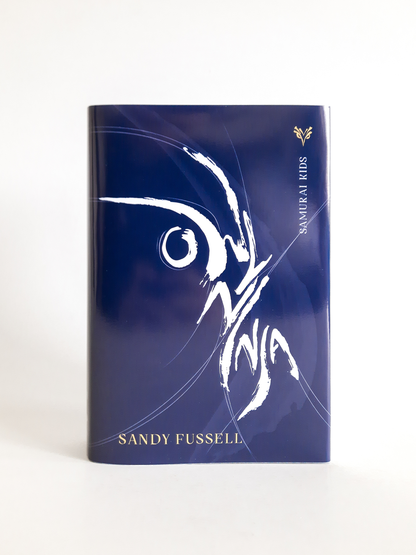 Samurai Kids: Book Cover Redesign