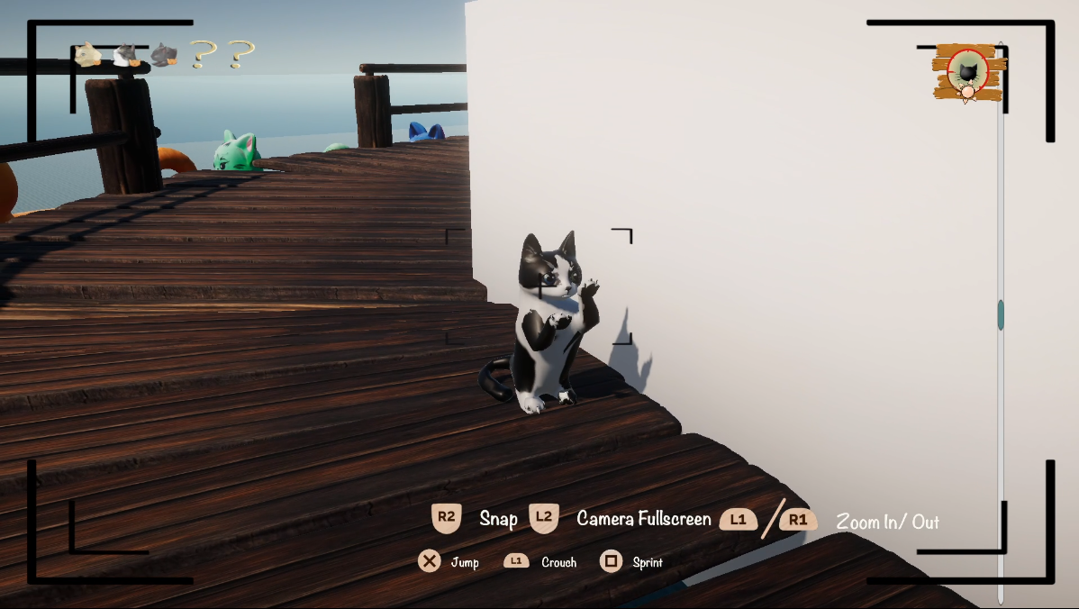 Purrfect Shot