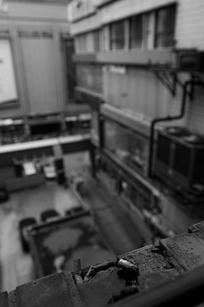 Live in Steel Forest