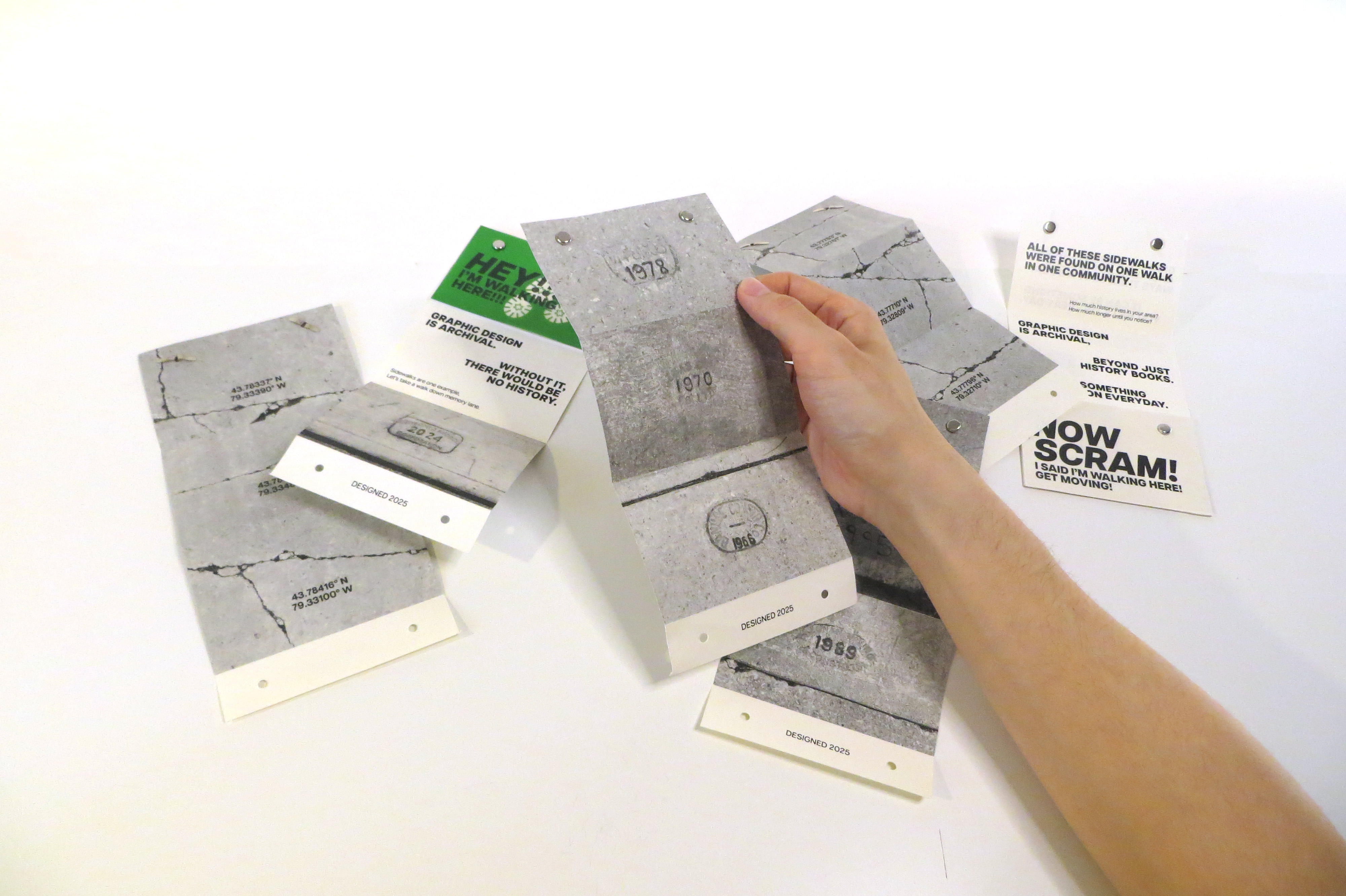 Hey!!! I'm Walking Here!