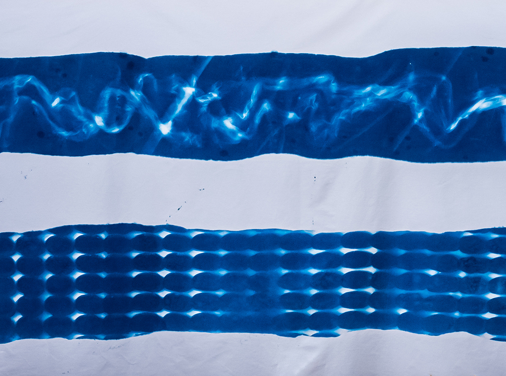 Two Rows - detail of cyanotype