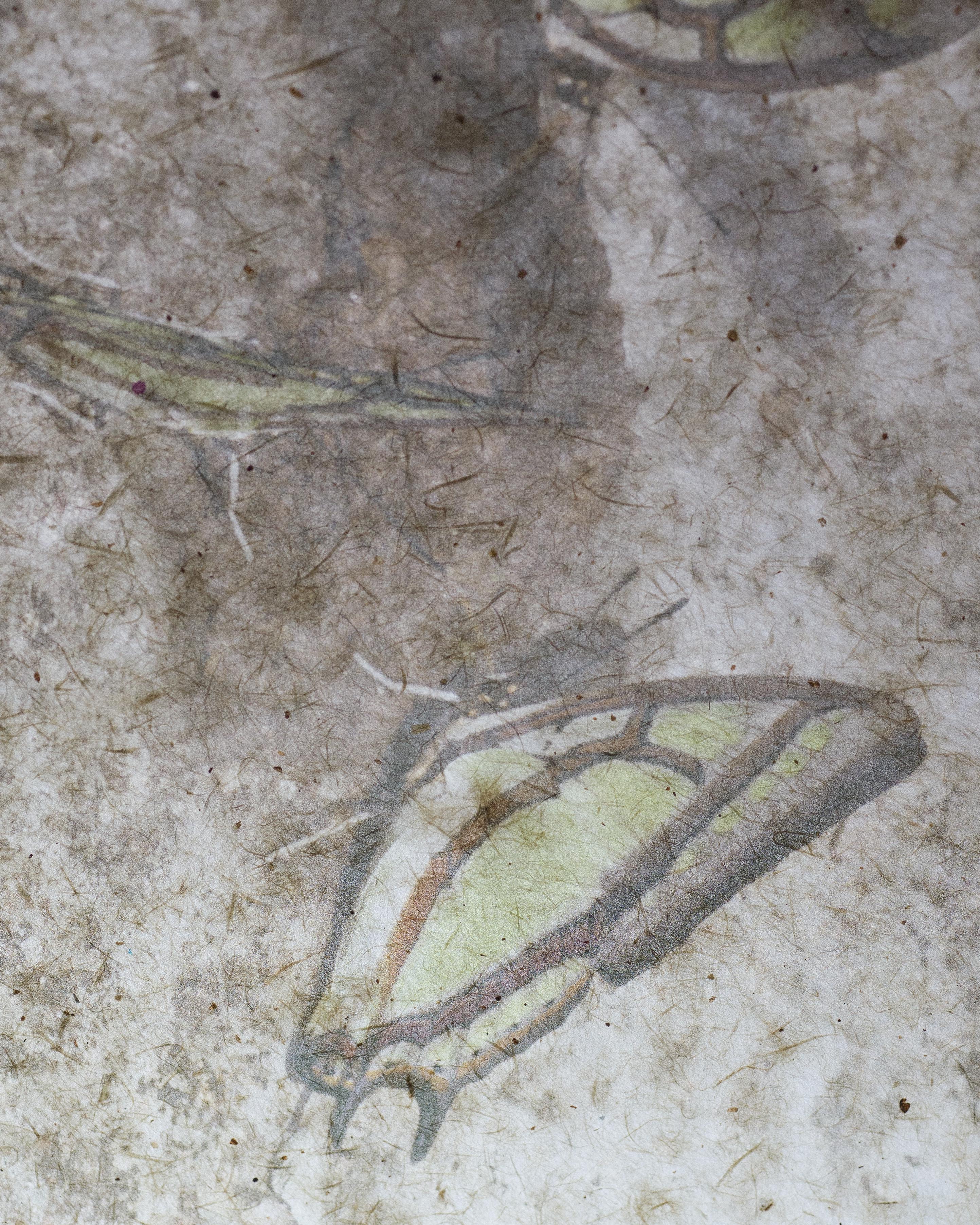 a river waiting for falling pears