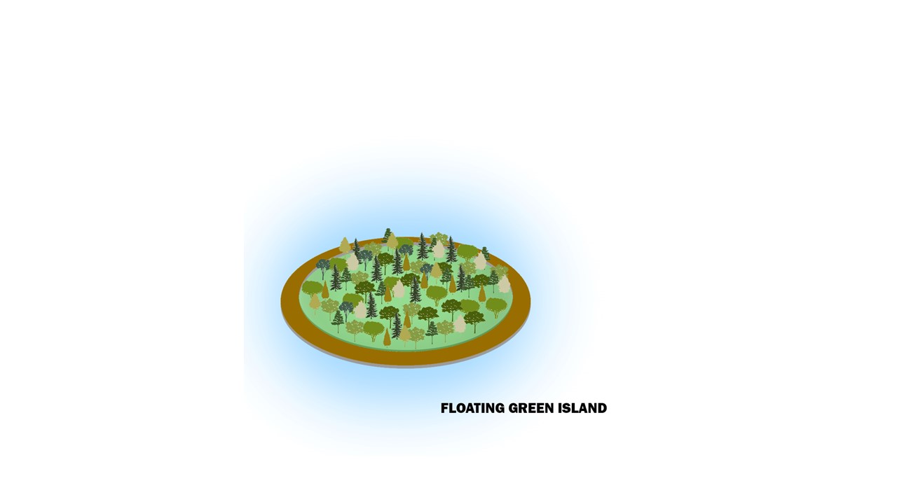 Toronto's Floating Gardens