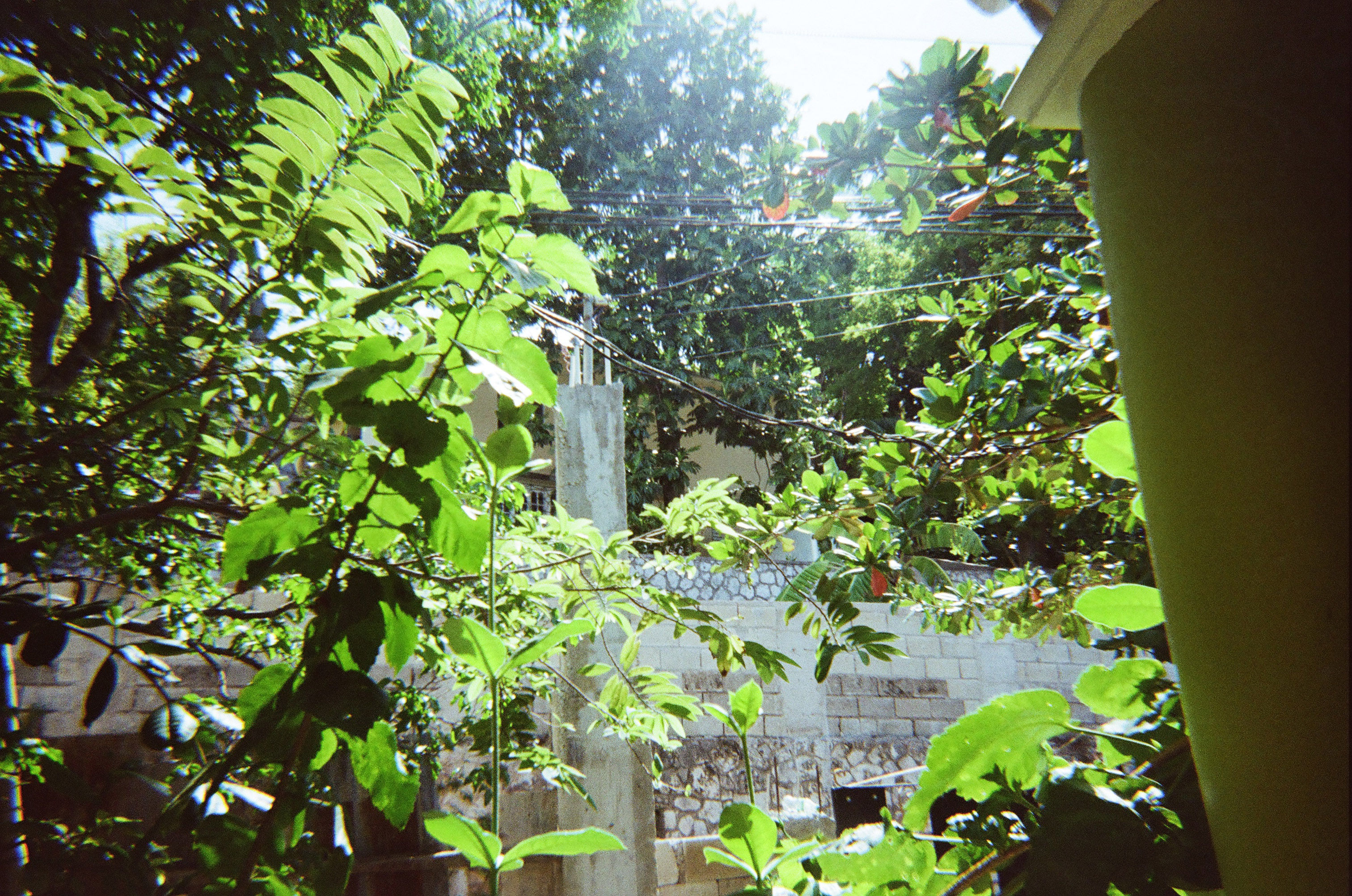 Grief in, Yellow, Black and Green