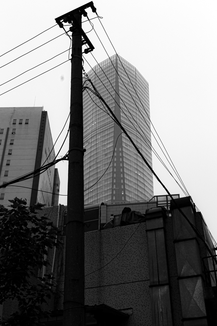 Live in Steel Forest