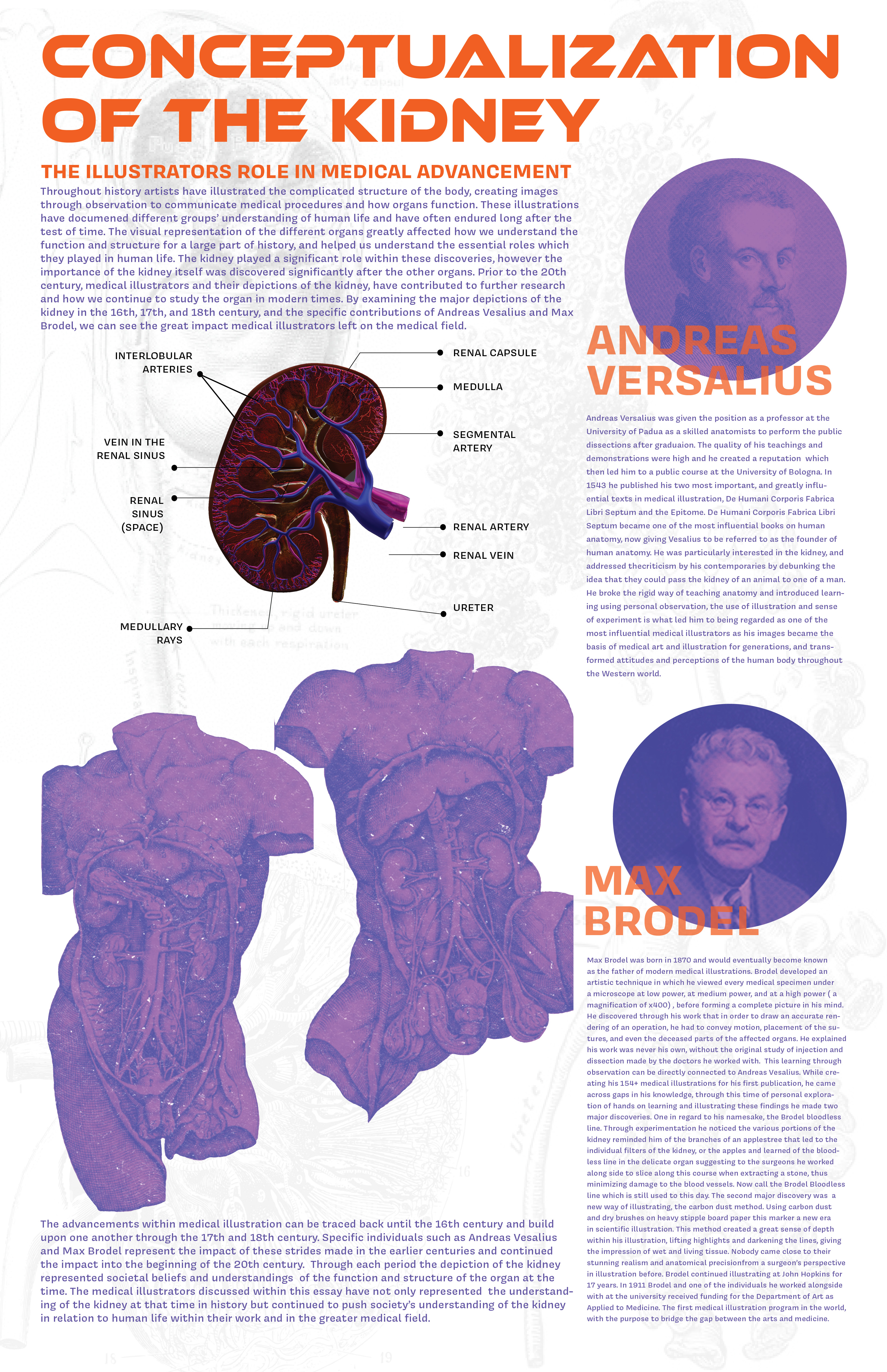 Conceptualization of the Kidney - Visual Essay
