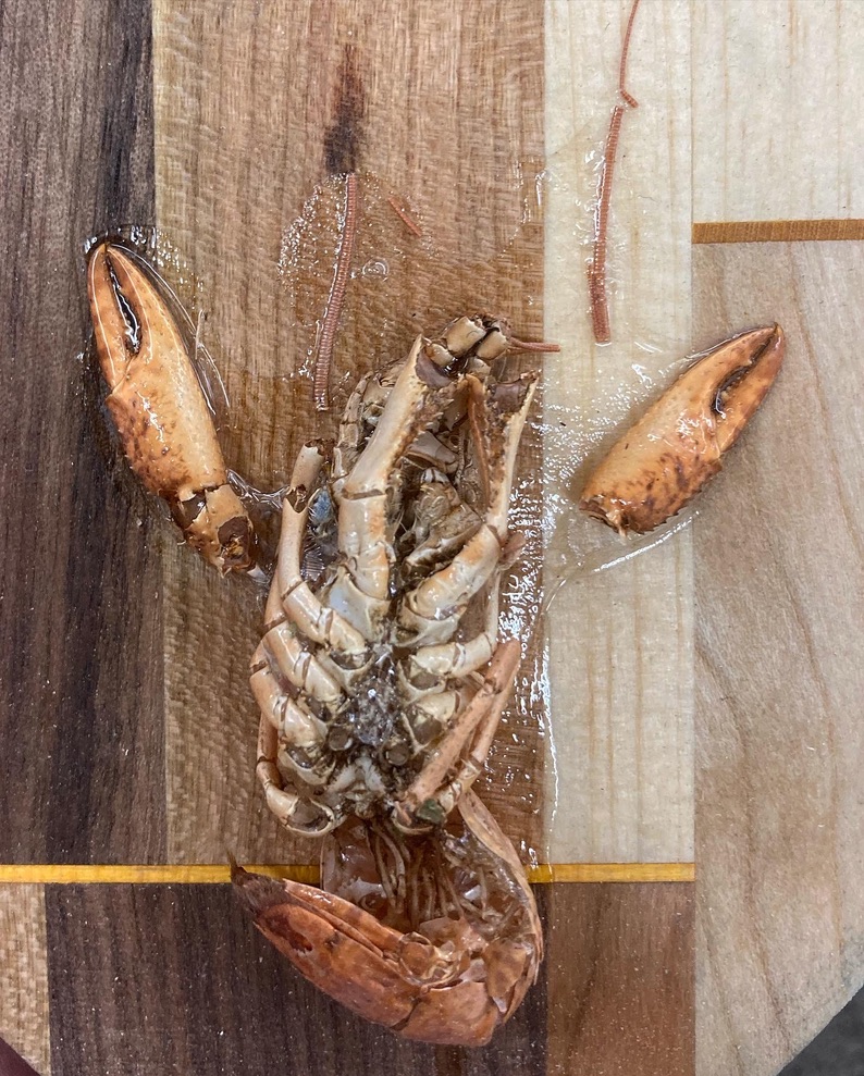 An Individual's Subjective Pathetic Fallacy