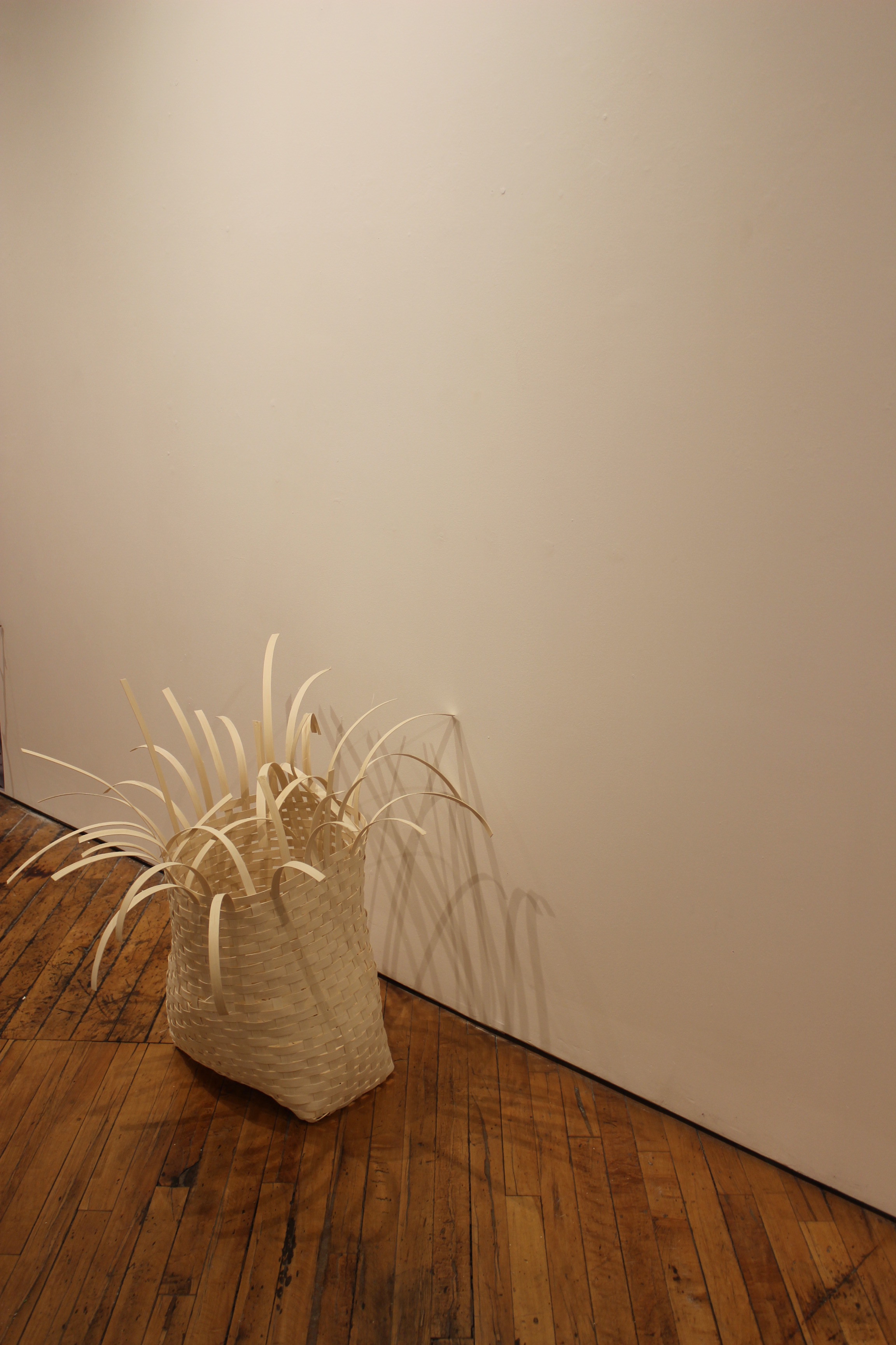 Adirondack Sack ( In Process)