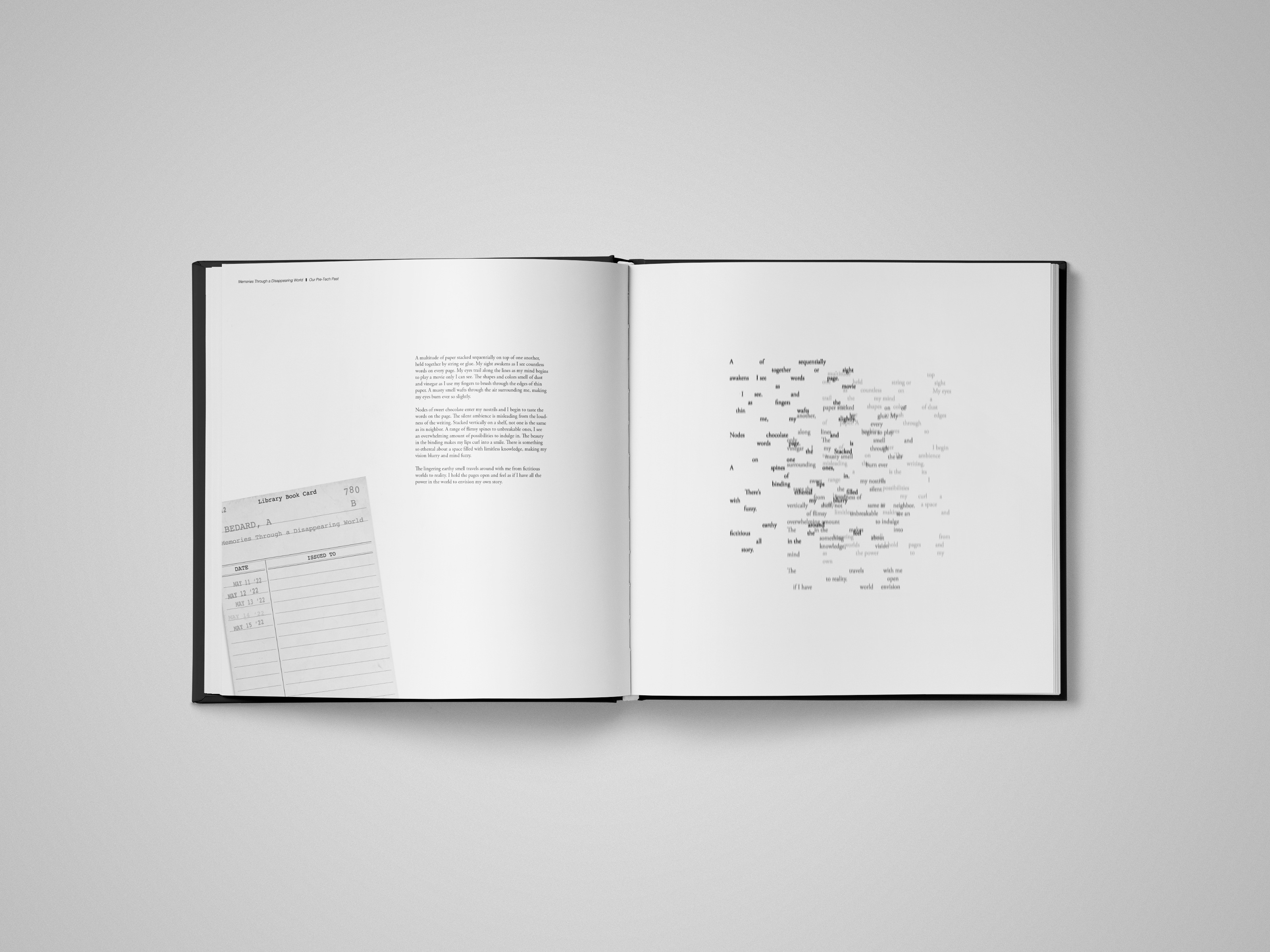 Memories Through a Disappearing World