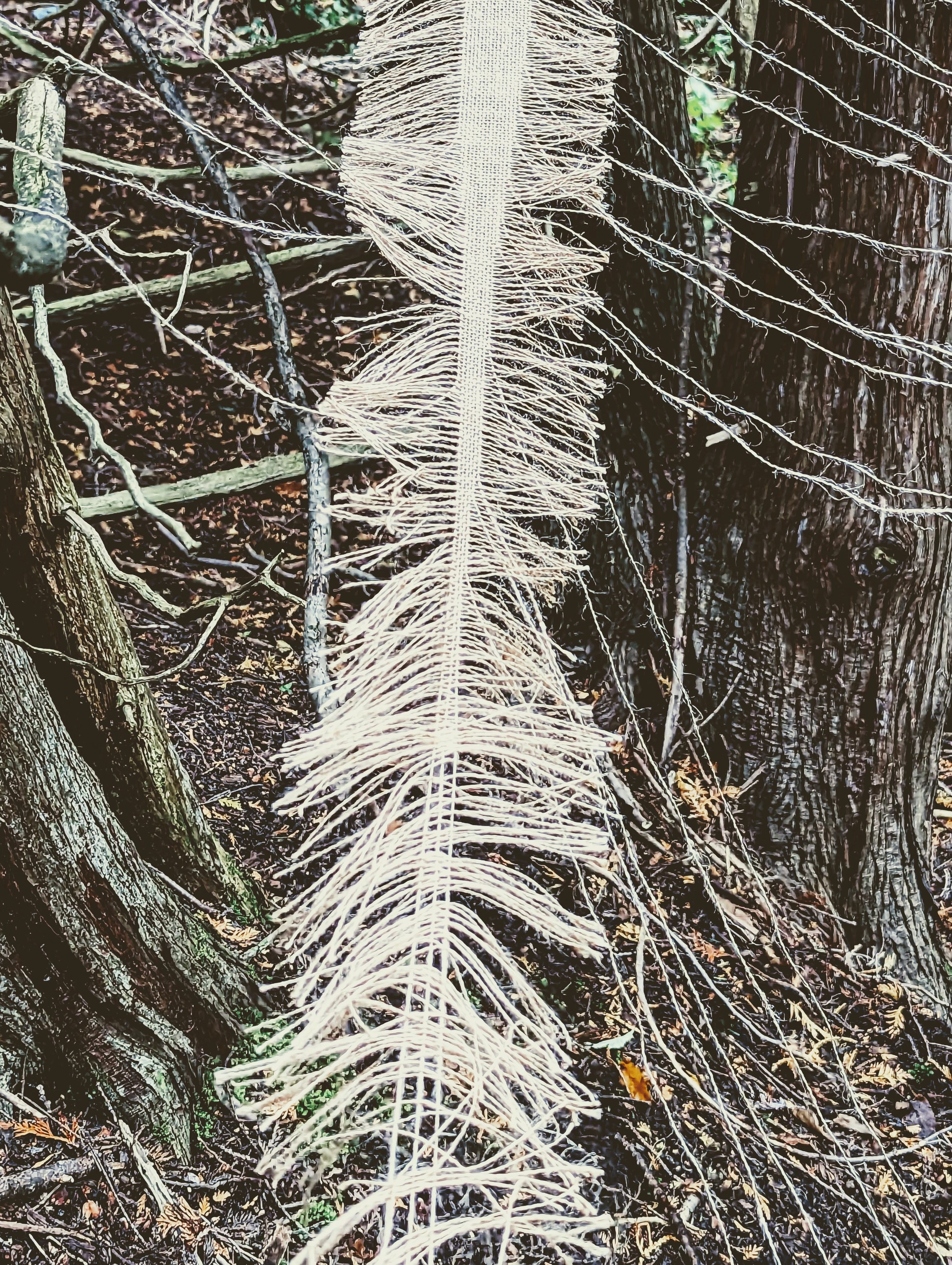 Pulling at the Threads of History