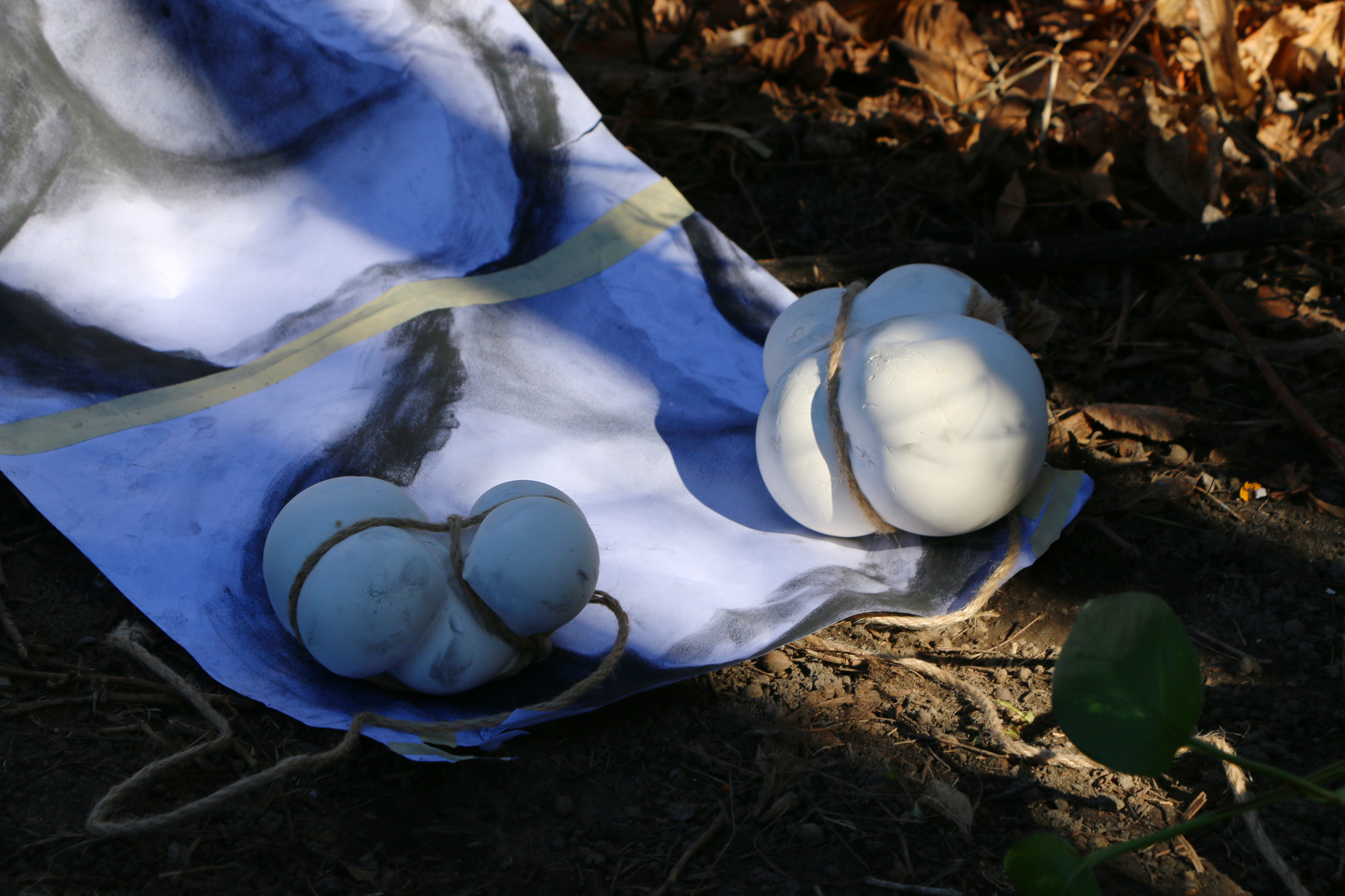 Competing with the Wind