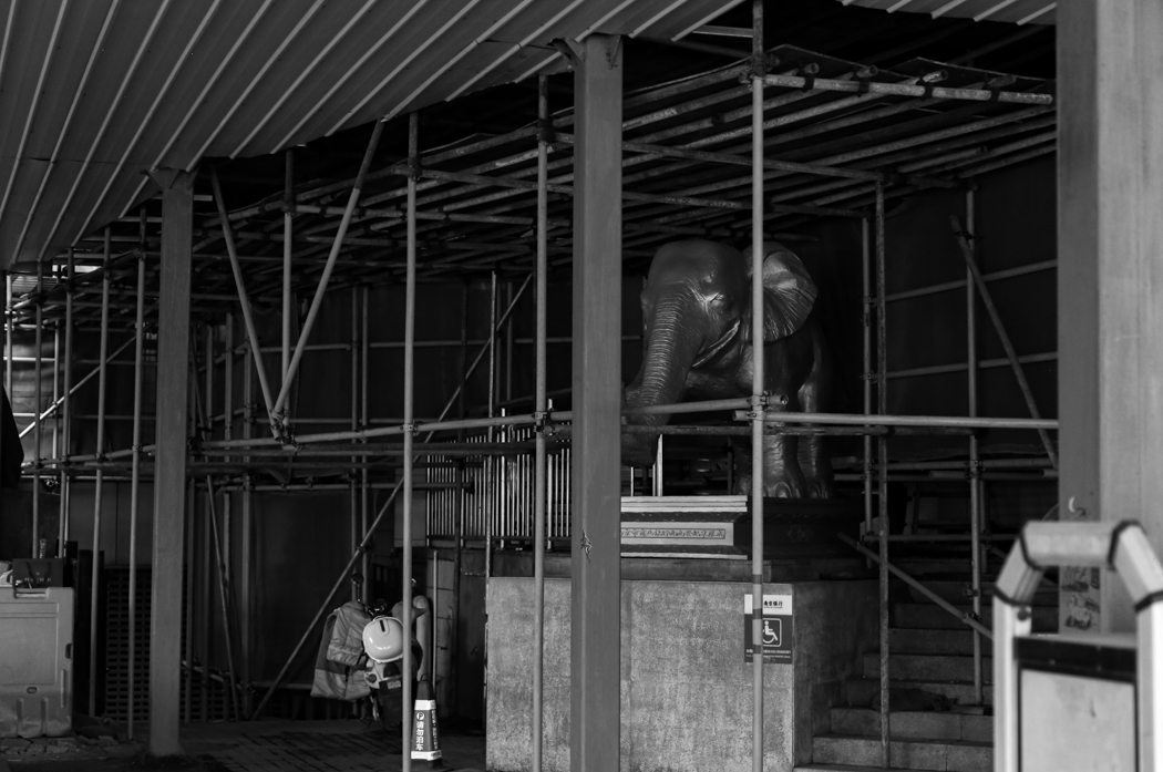 Live in Steel Forest