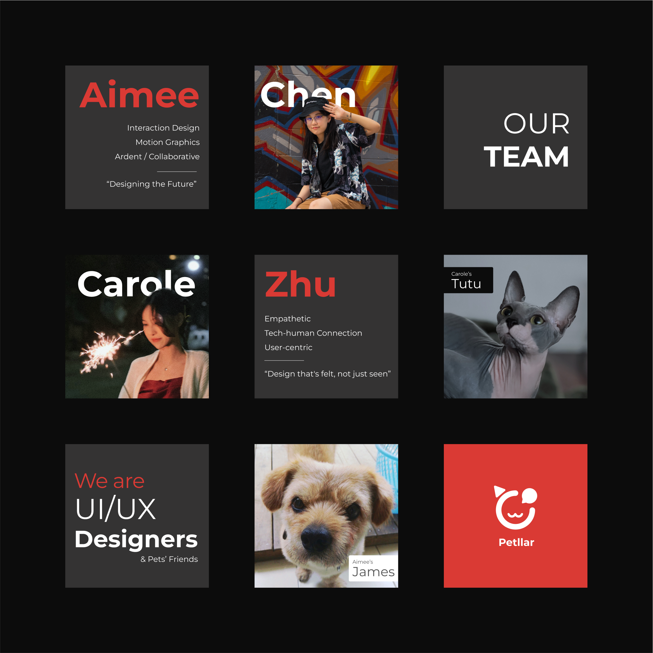 Petllar - Mobile App + Device