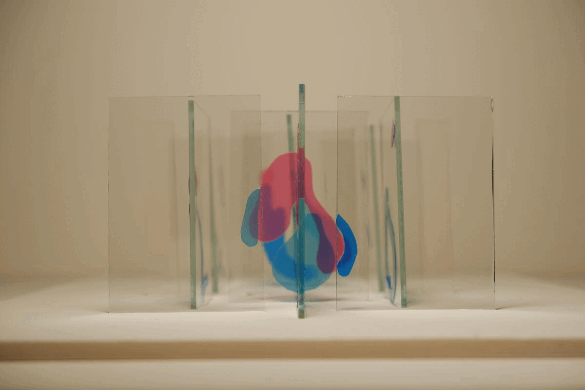 Anamorphic Concept Model