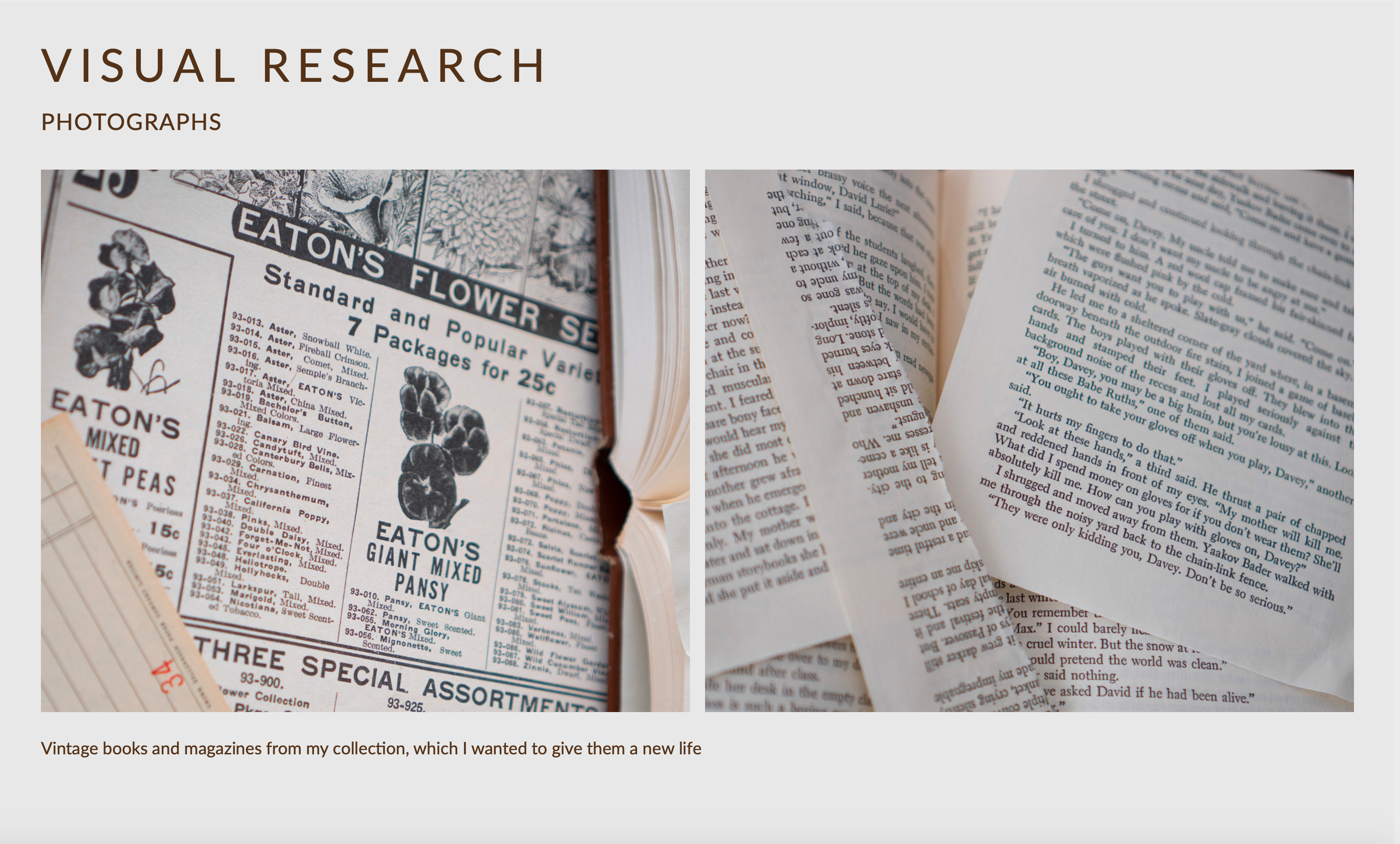 Spiritual Food : Material Exploration With Paper