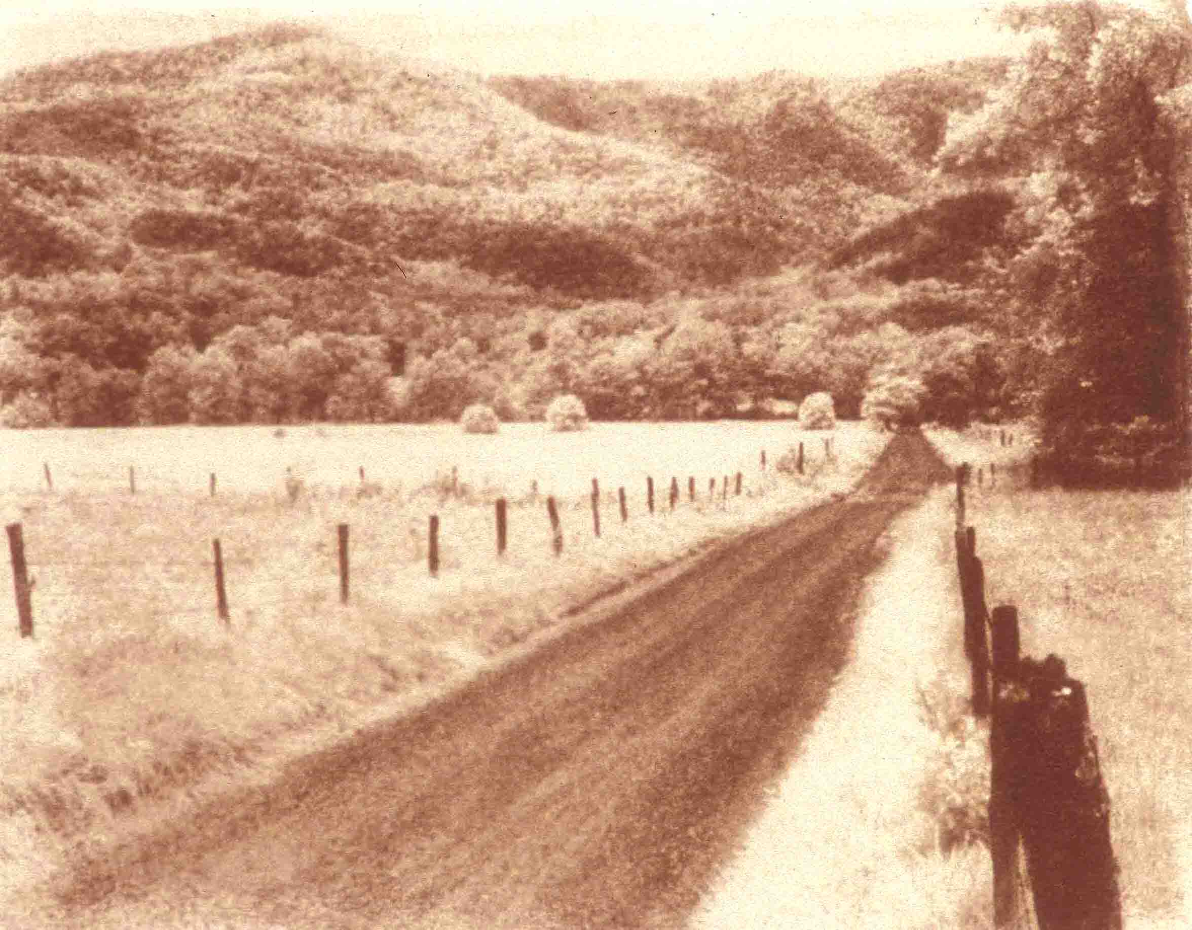 Sparks Lane