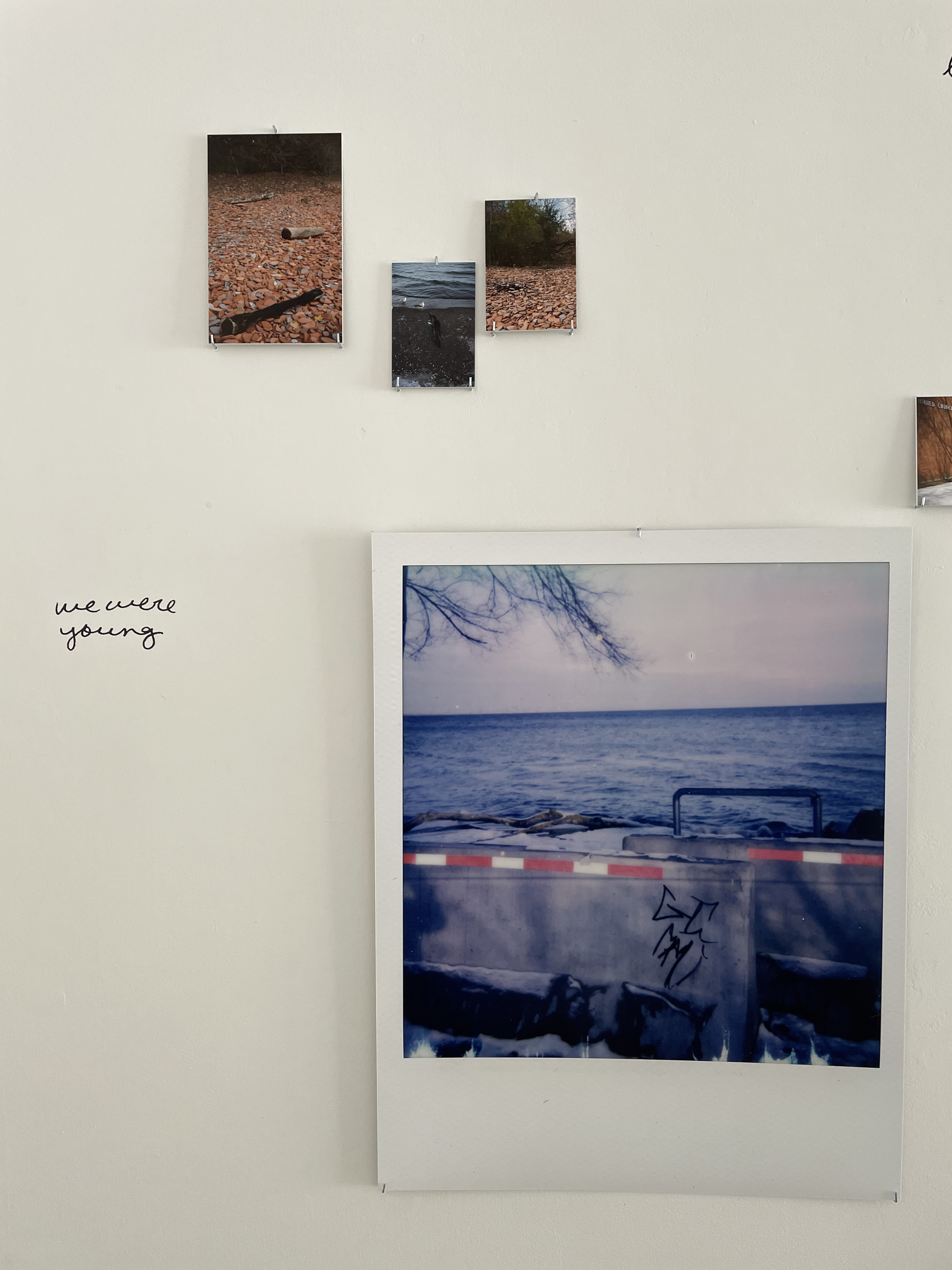 Where We Used to Walk - Installation