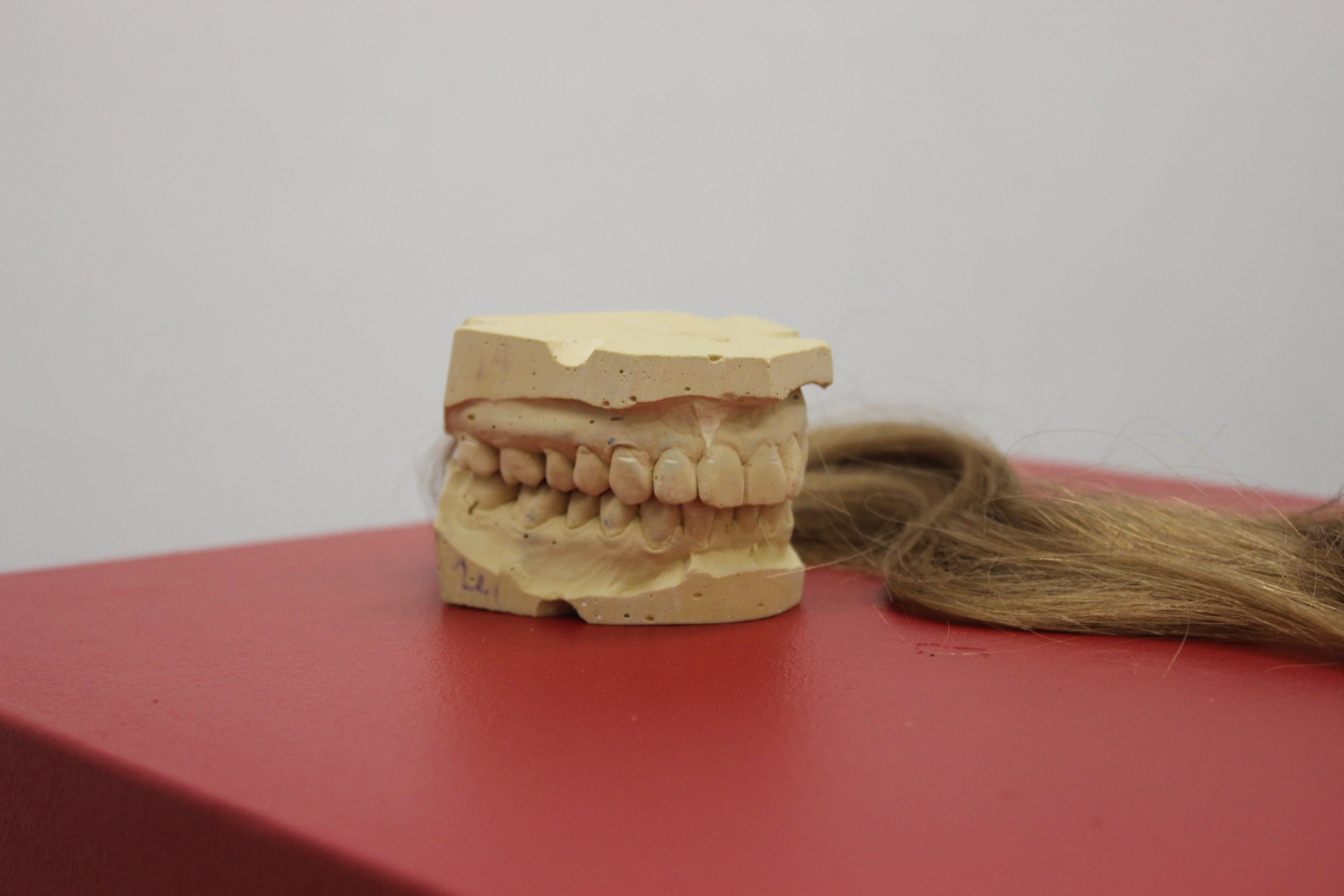 Archaeology of Home and Body