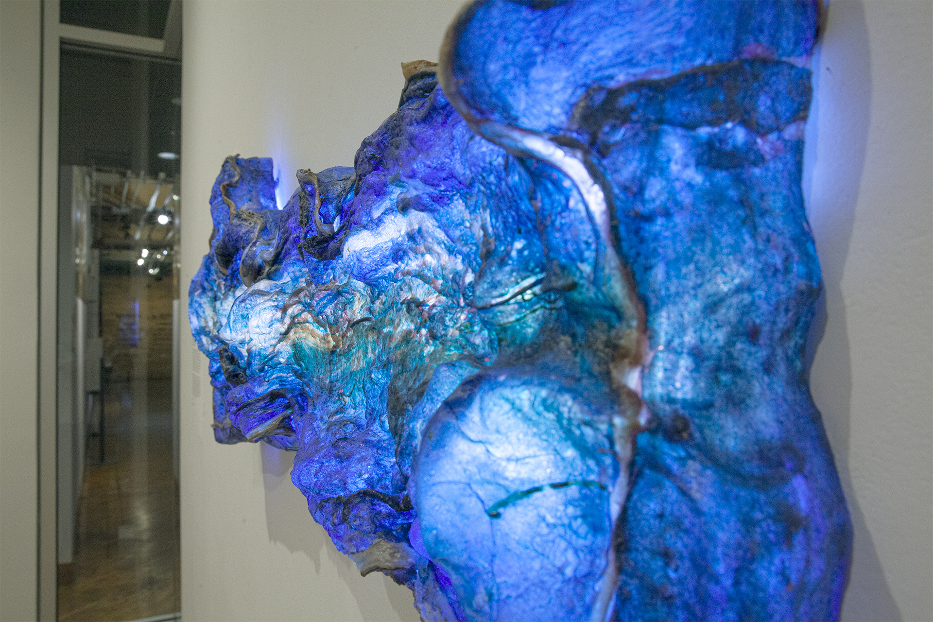 The Book of Waves Pt2