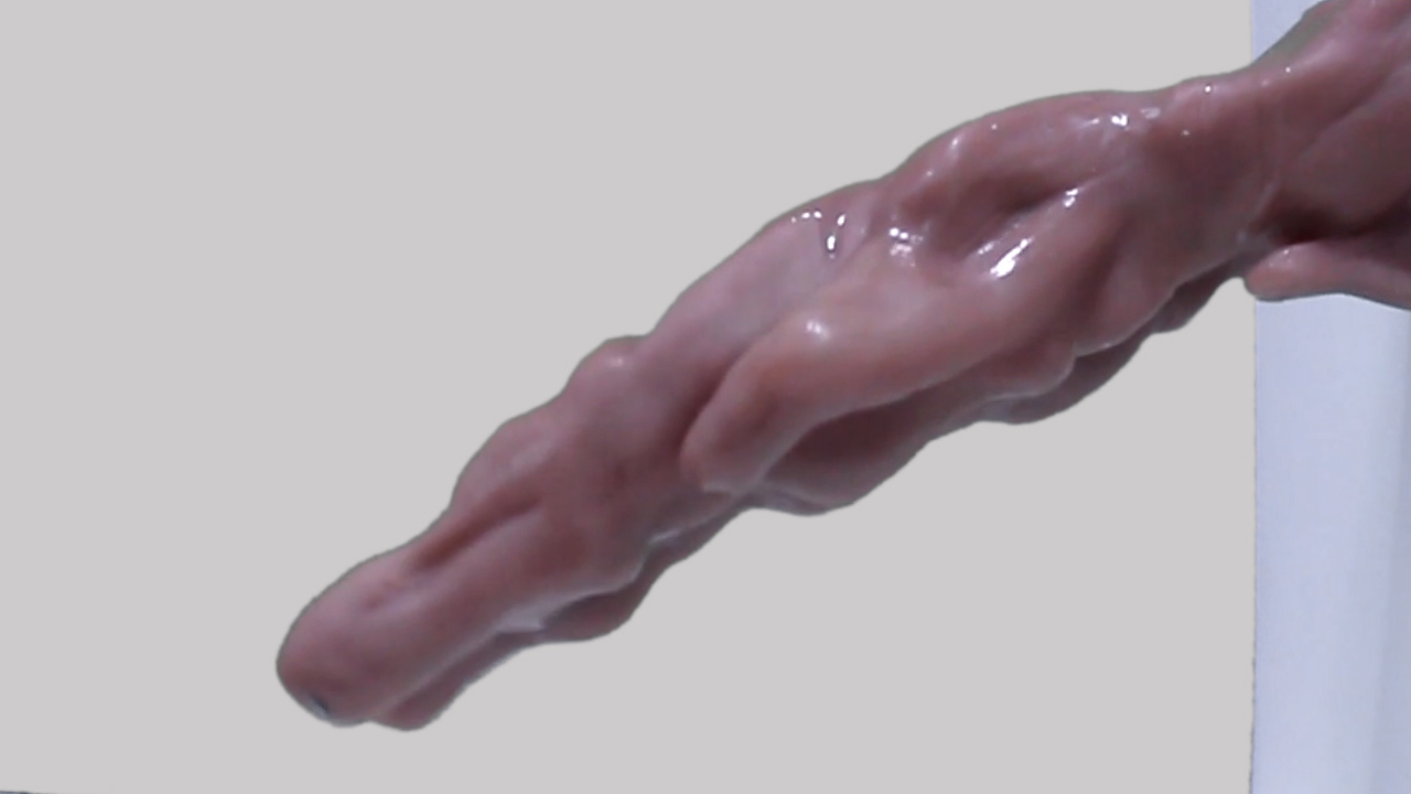 Documentation Images from "Any Part Can Be a Genesis" Installation & Art Objects